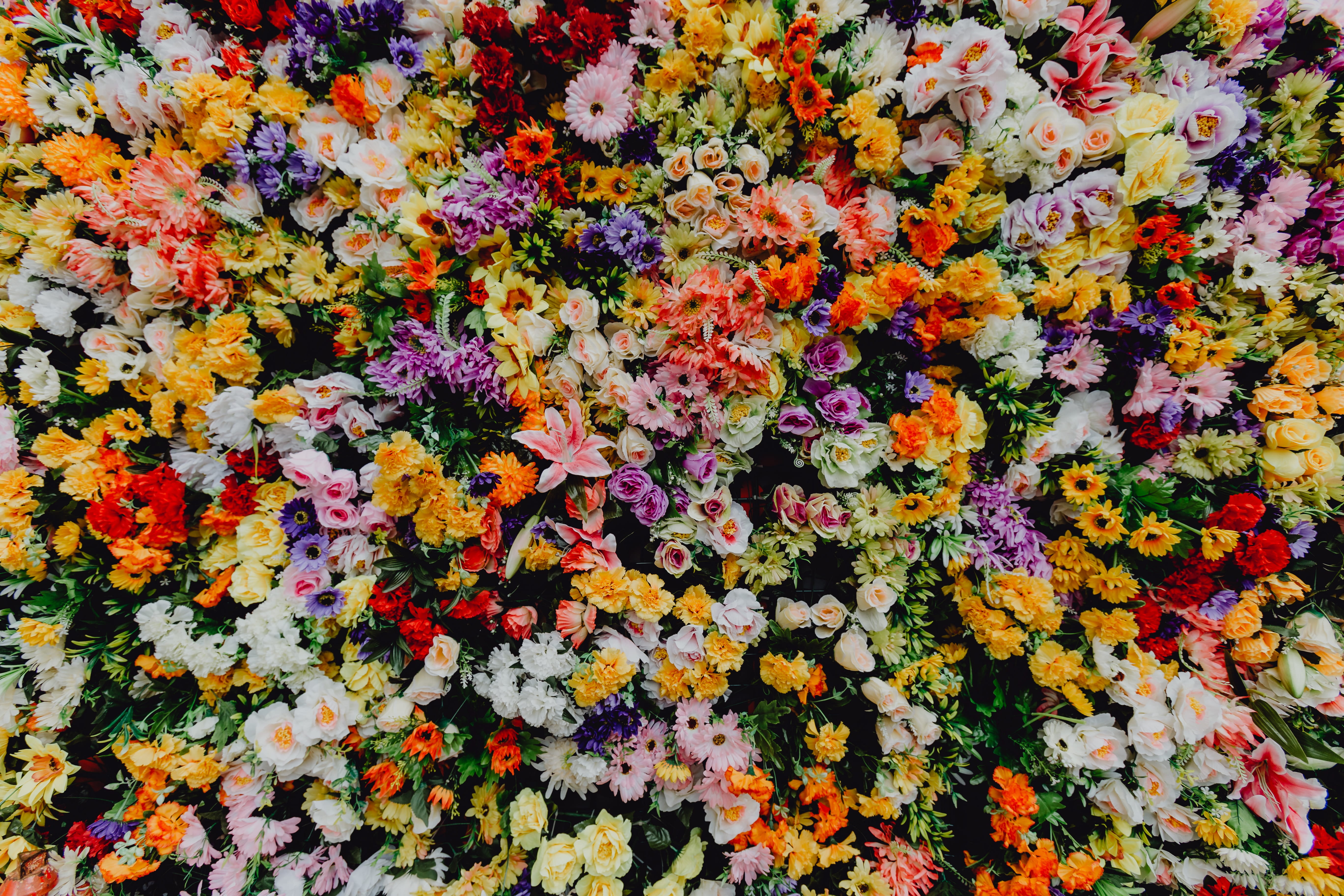 high angle view, various, background, santo antonio, multi colored, portugal, museum, fest, festa, flowering plant, Saint Anthony, no people, variation, HD Wallpaper