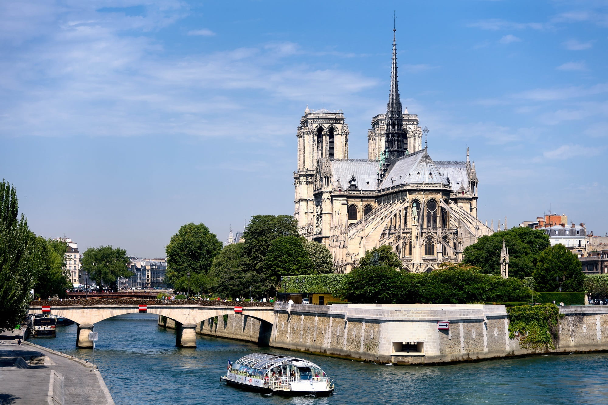 plant, france, mode of transportation, water, passenger craft, bridge, building exterior, île de la cité, boat, seine river, medieval, spire, place of worship, HD Wallpaper