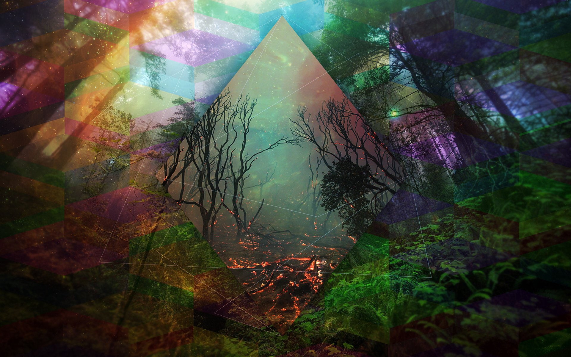artwork, art, flames, trees, forest, dark, fantasy, line, fire, color, abstraction, psychedelic, 1080P, mood, photoshop, HD Wallpaper