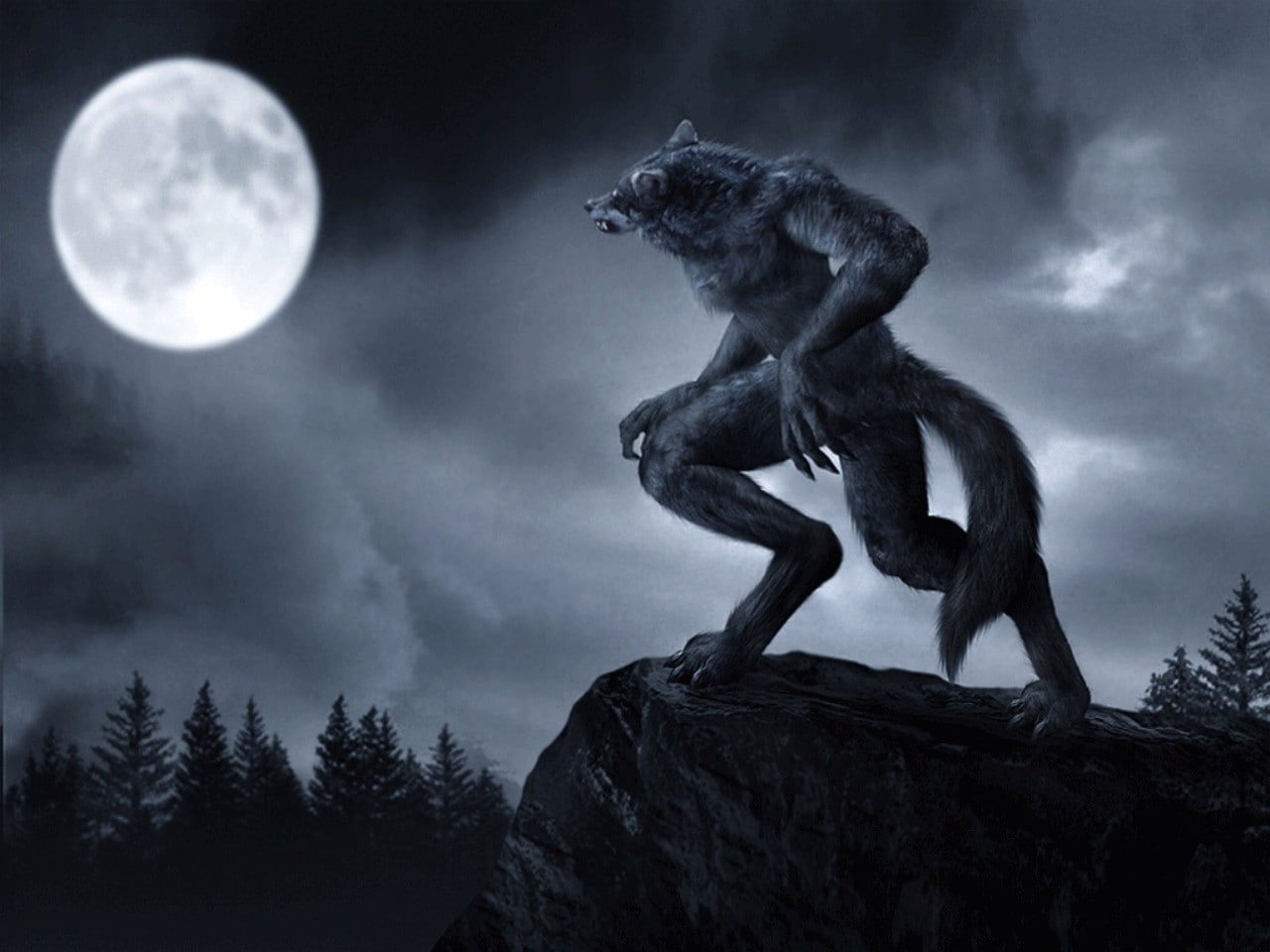werewolves, 720P, HD Wallpaper