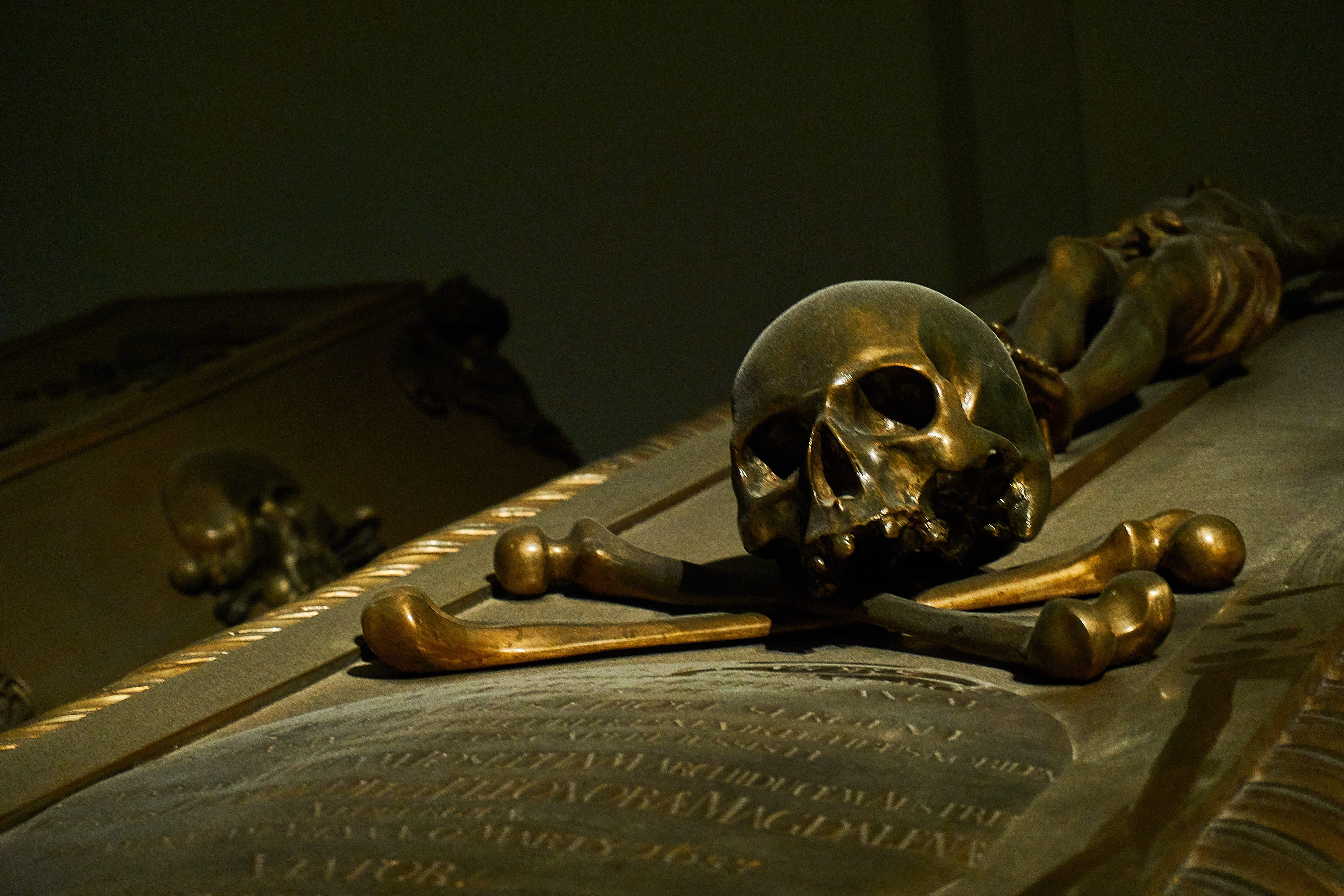 metal, skeleton, human representation, no people, still life, vienna, table, death, bone, close-up, the past, 5K, weapon, spooky, memory, coffin, indoors, HD Wallpaper