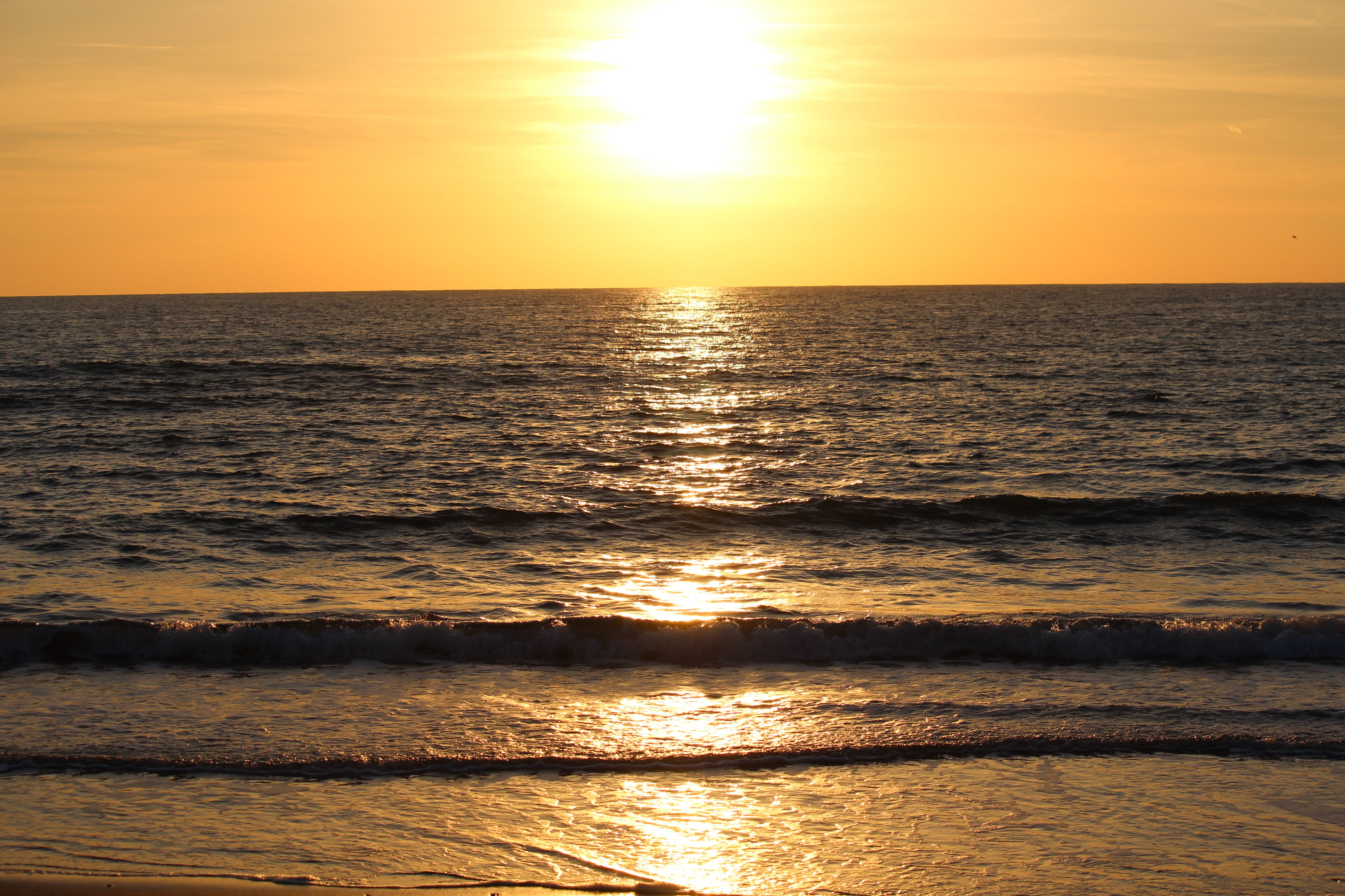 orange color, horizon, calm, tranquility, sea sky, landscape, summer time, sun, no people, sunlight, magical, sunbeams, beach, sunset, evening, perfect, HD Wallpaper