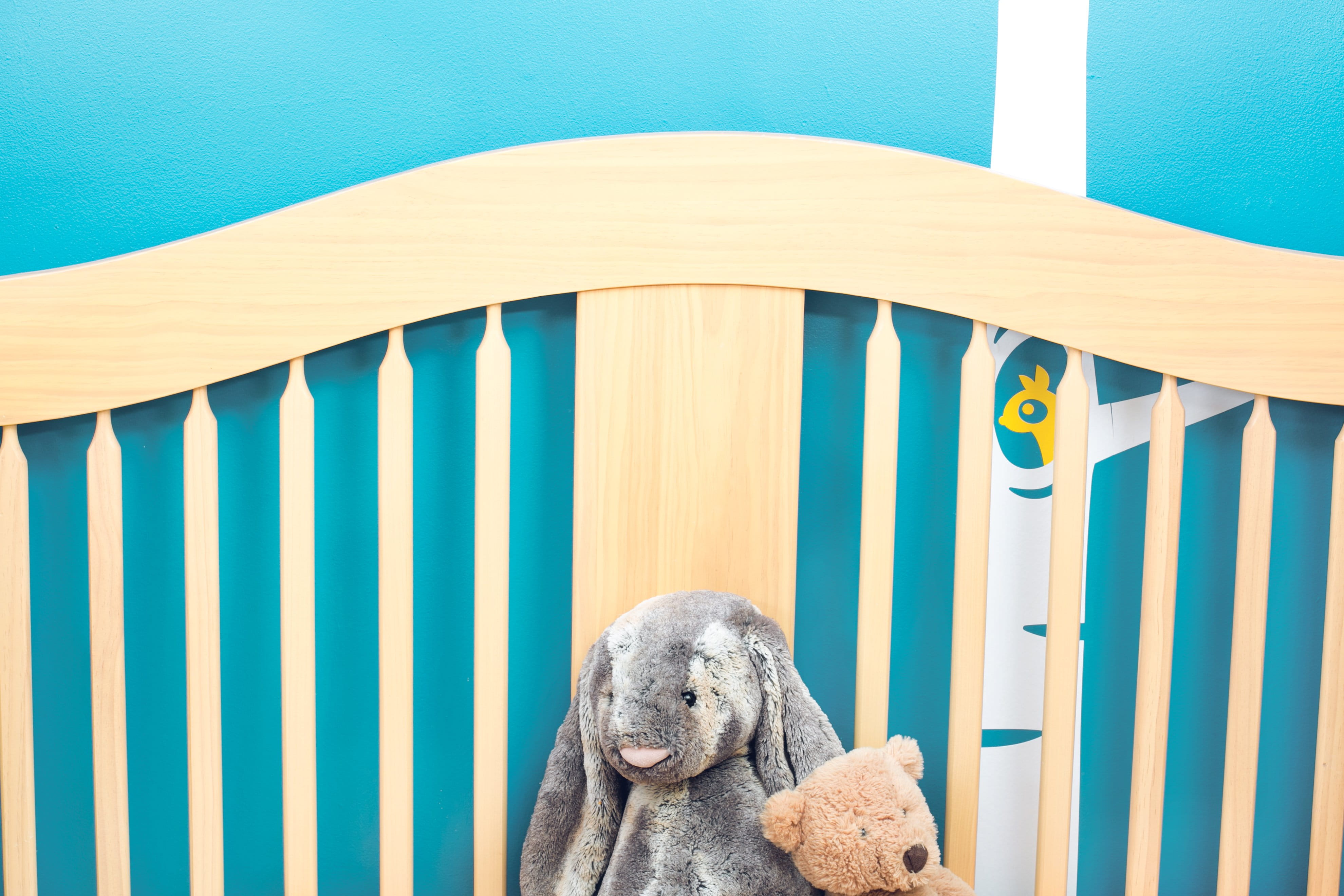 mammal, poodle, teddy bear, striped, day, crib, one animal, domestic, Room, blue, emotion, stuffed toy, Home decor, dog, design, nursery, photo, Baby, Home, HD Wallpaper