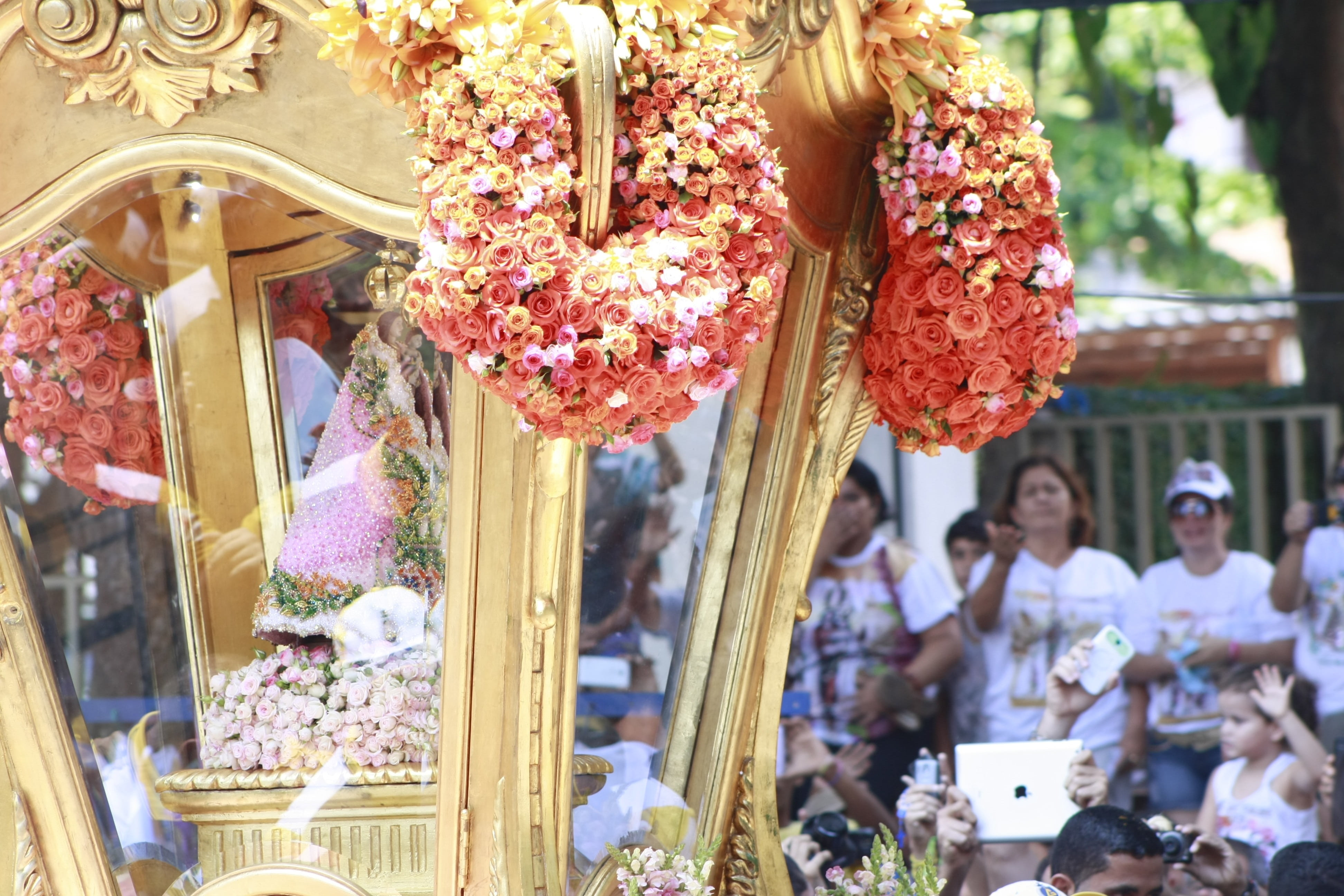 flowering plant, religion, incidental people, faith, retail display, sale, 4K, círio, plant, market stall, for sale, our lady of nazareth, day, chopping block, HD Wallpaper