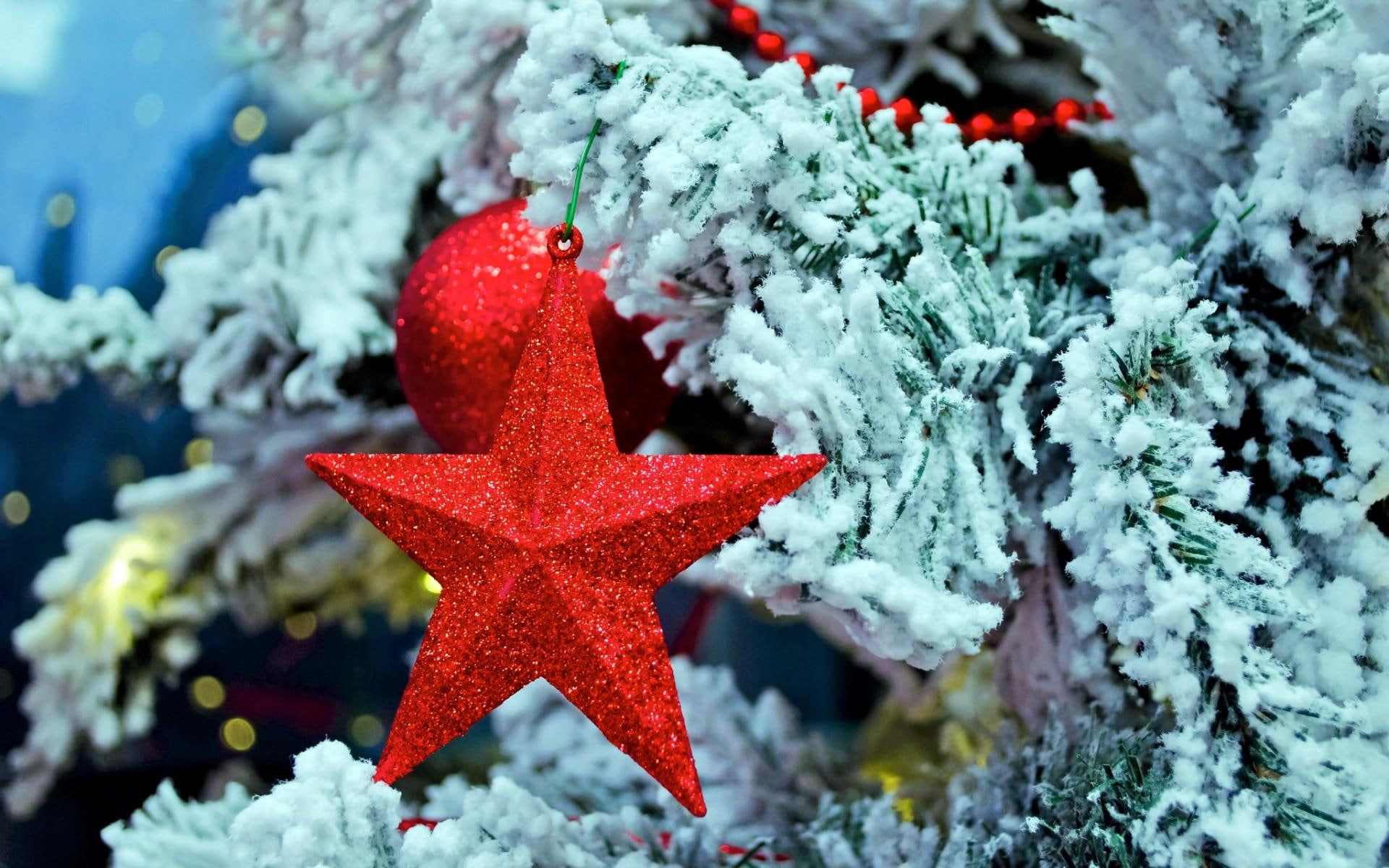 3d and abstract, 1080P, bethlehem, tree, christmas, happy, best, star, merry, holidays, wishes, hope, HD Wallpaper