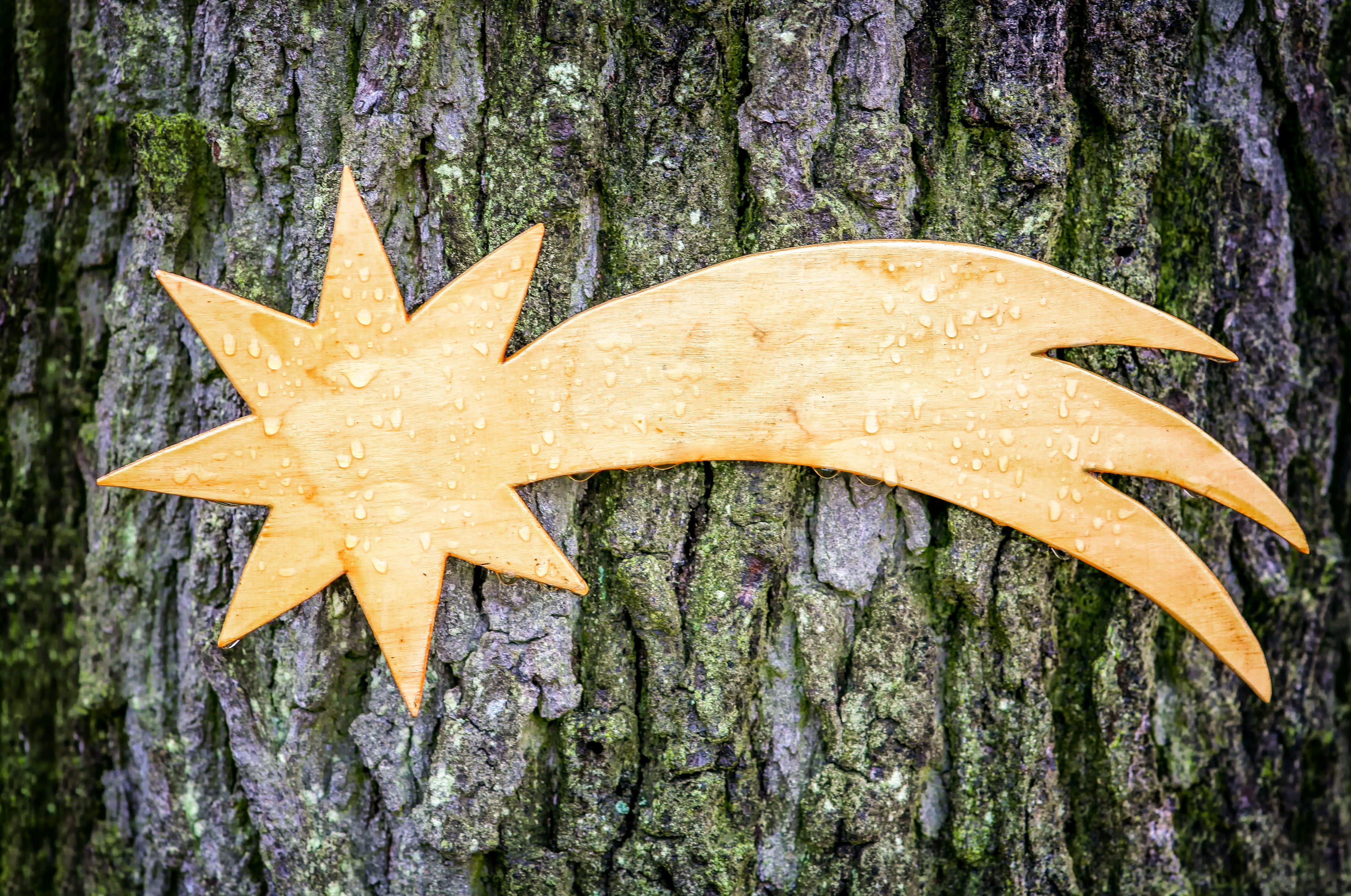 religion, tail, christmas eve, symbol, nature, crib, bark, christian, growth, plant part, star of bethlehem, 4K, light, technology, structure, comet, carving, HD Wallpaper