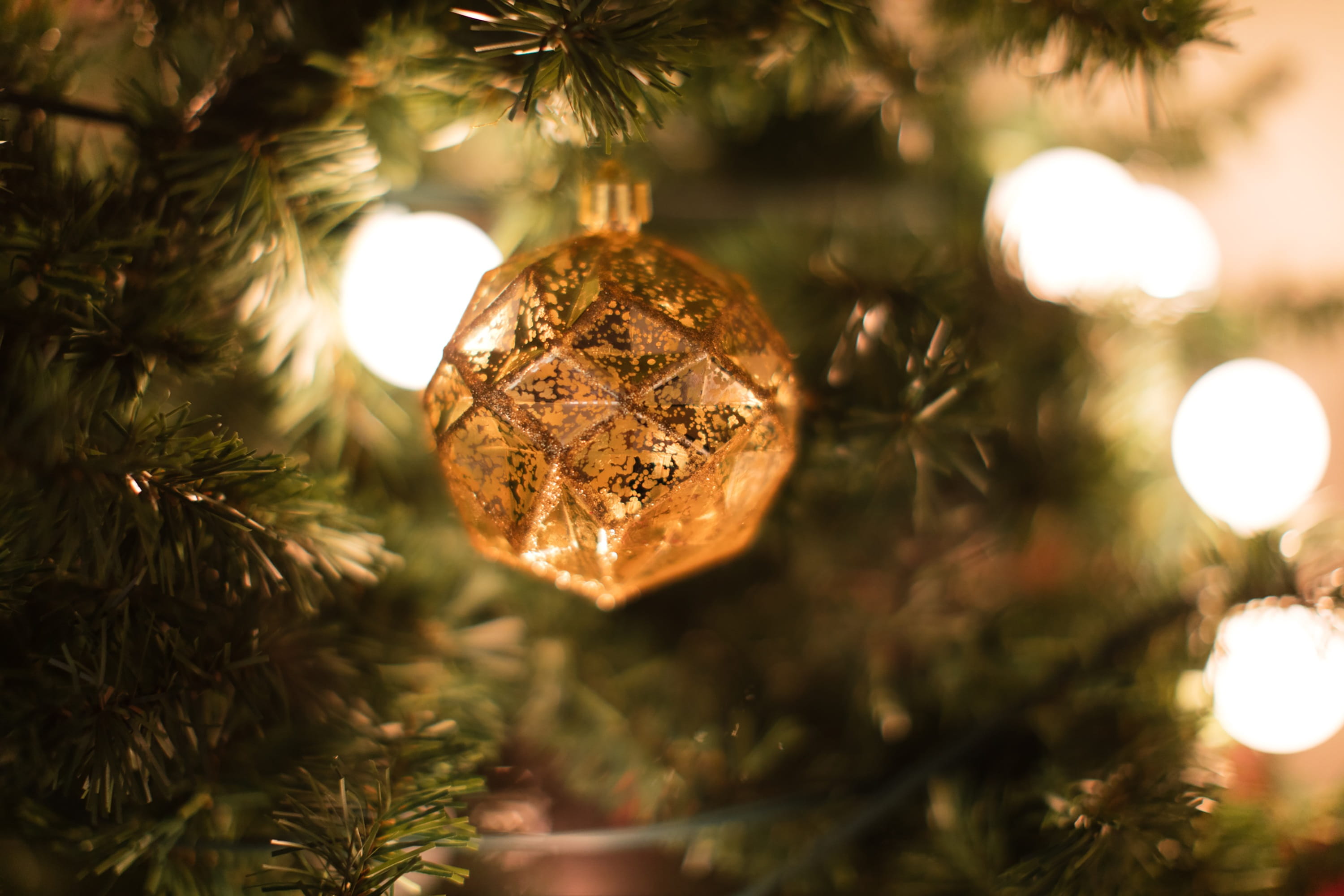 close-up, christmas ornament, ornaments, christmas, plant, light, celebration event, holiday, focus on foreground, holiday - event, christmas tree, celebration, HD Wallpaper
