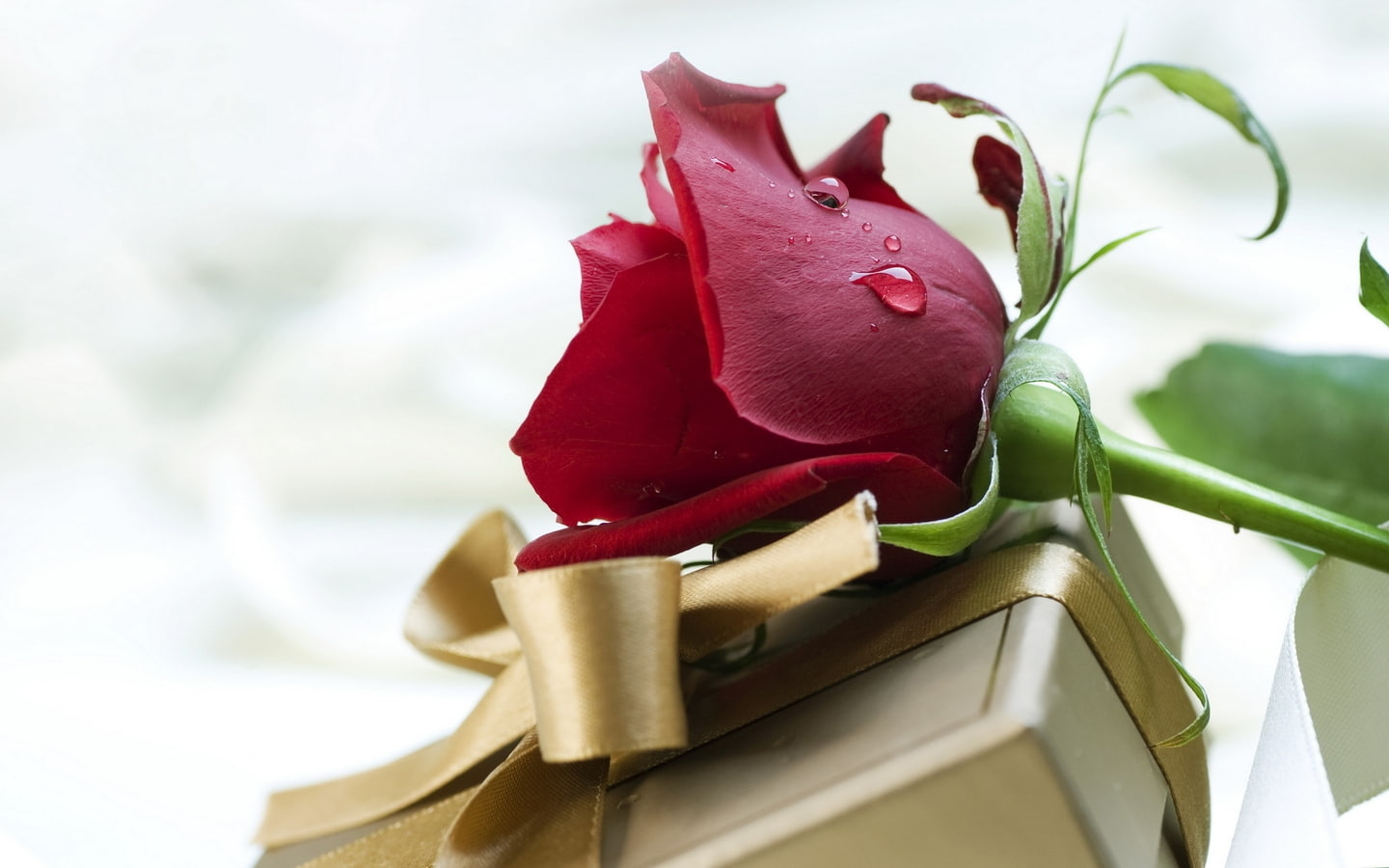 Happiness, abstract, 720P, joy, hd, Holy Night, gift, love, art, red rose, Christmas, HD Wallpaper