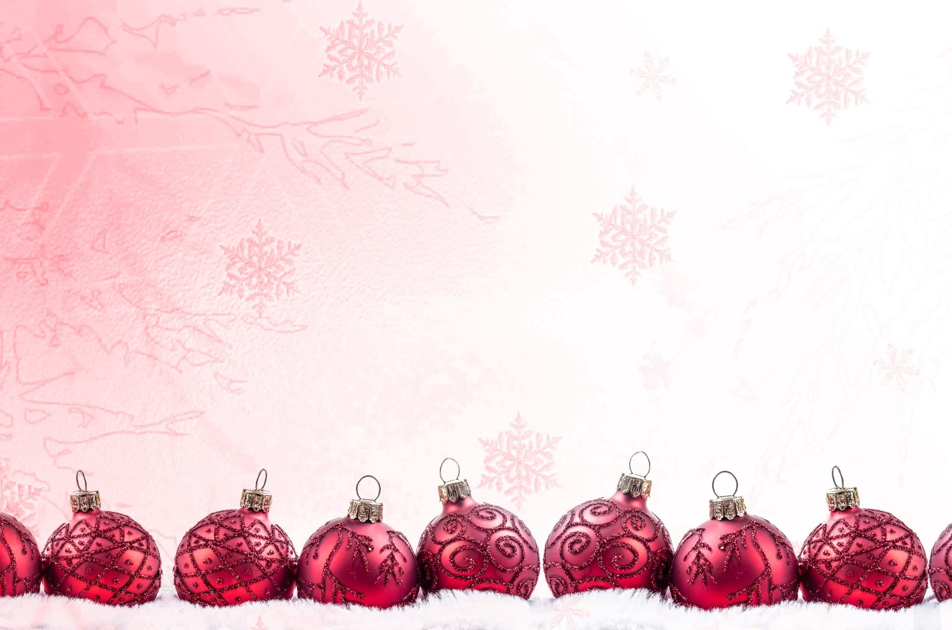 holy night, flowering plant, sign, seasonal, nature, arrangement, red, flower head, season, holiday - event, new, star, gray, flower, holiday, christmas baubles, HD Wallpaper