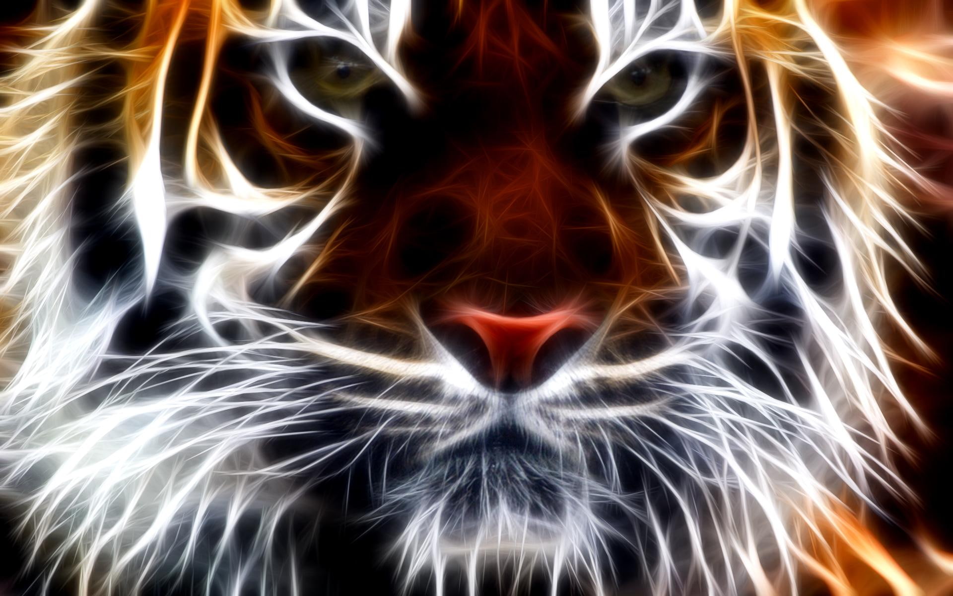 entropy, 1080P, tiger, animals, fractal, HD Wallpaper