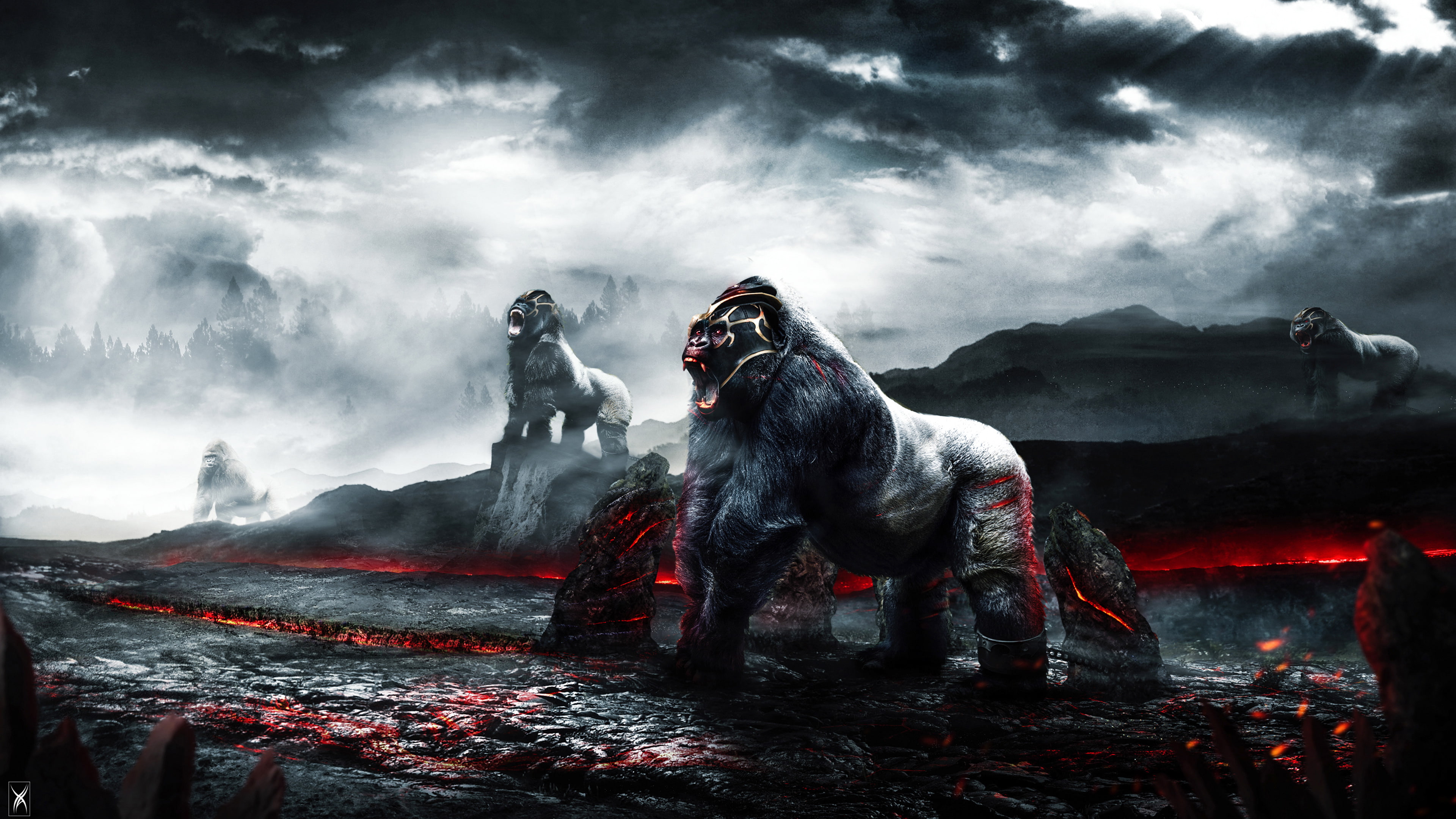 k, Gorilla, 4K, warriors, HD Wallpaper