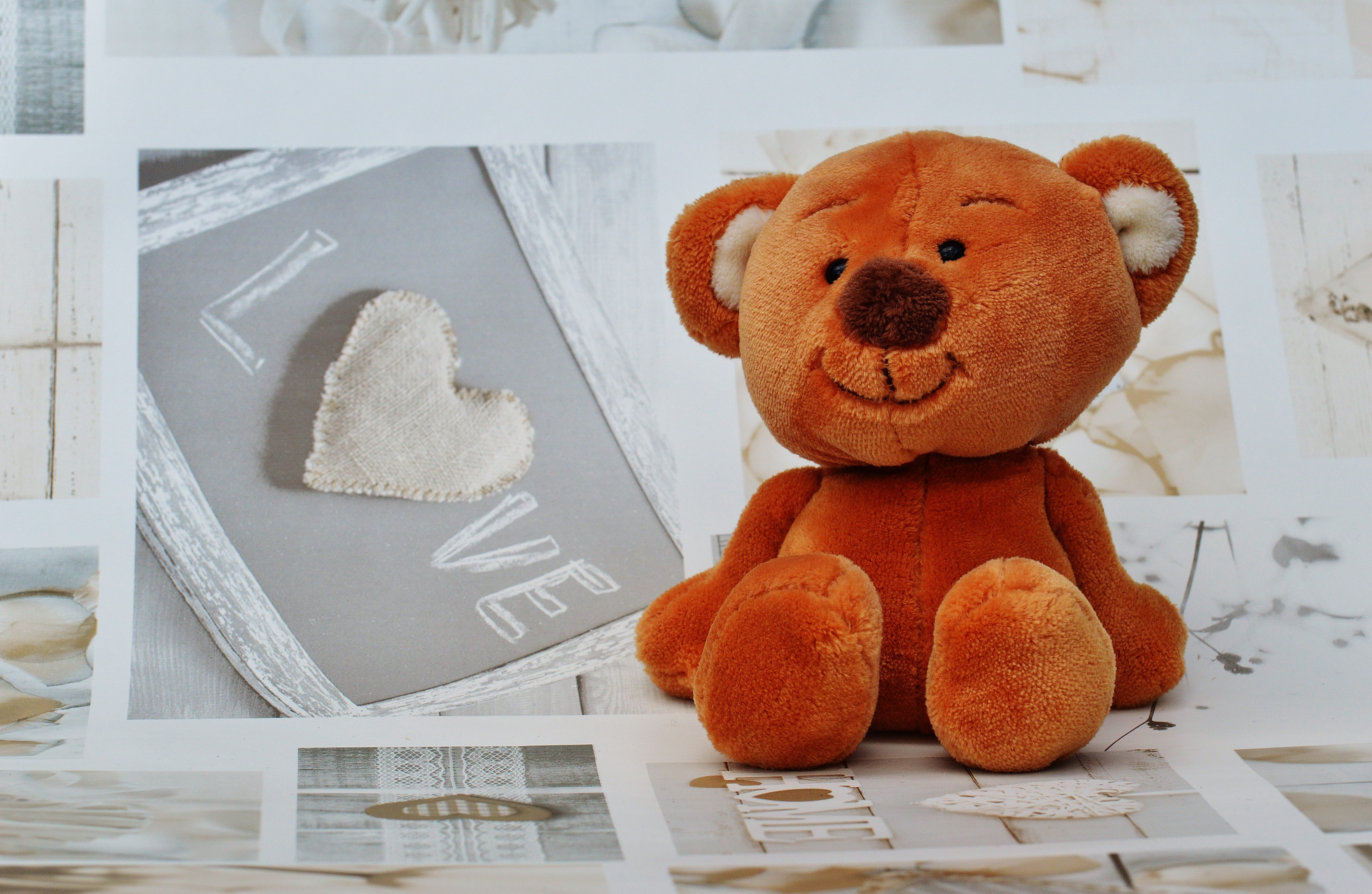 day, sweet, soft toys, plush, human representation, still life, photos, indoors, art and craft, creativity, animal, bears, no people, toys, container, bear, HD Wallpaper