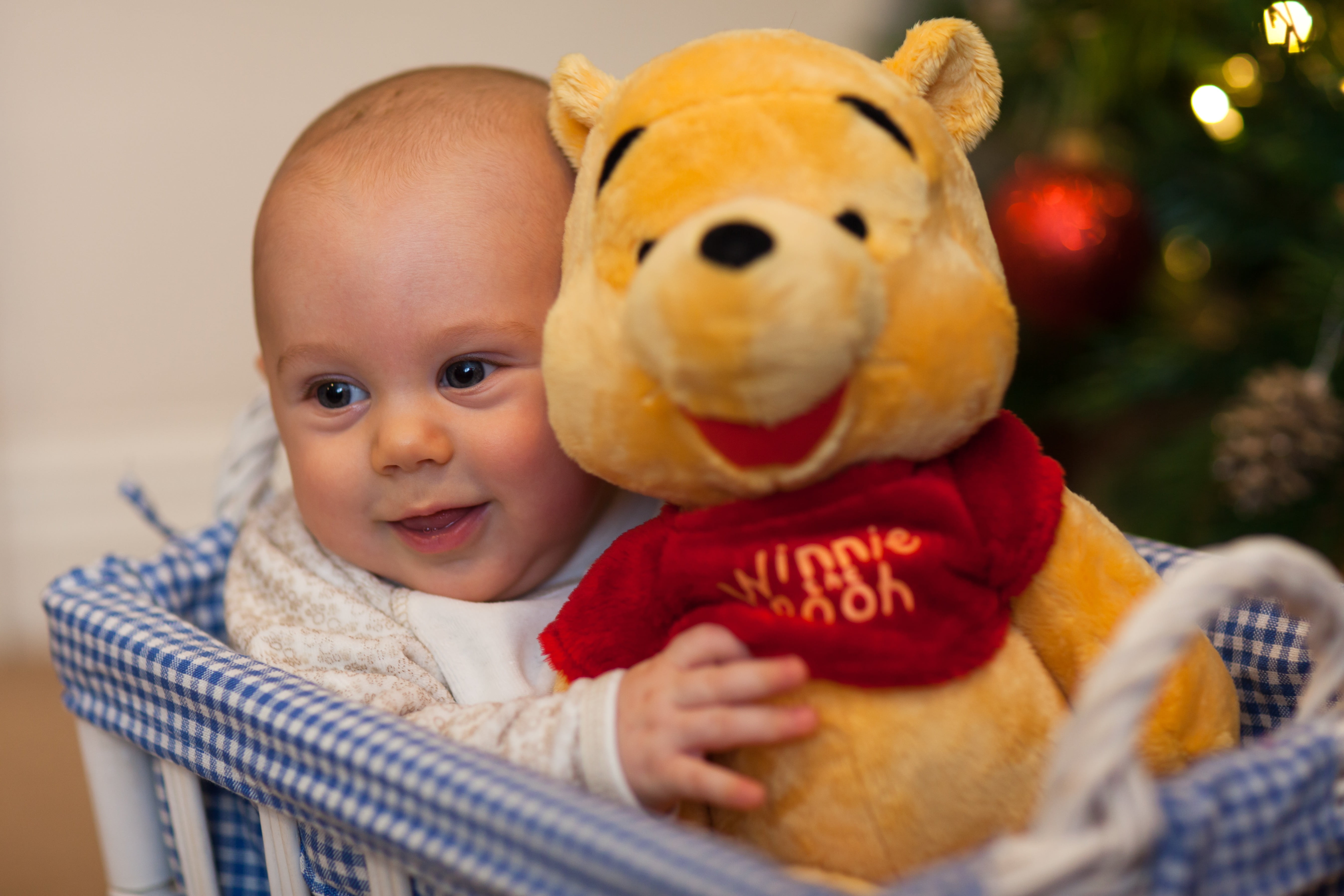 babyhood, face, smiling, young, winnie, boy, teddy Bear, cute, eyes, clothing, bear, 5K, teddy, toy, plush, child, portrait, one person, happiness, first, HD Wallpaper