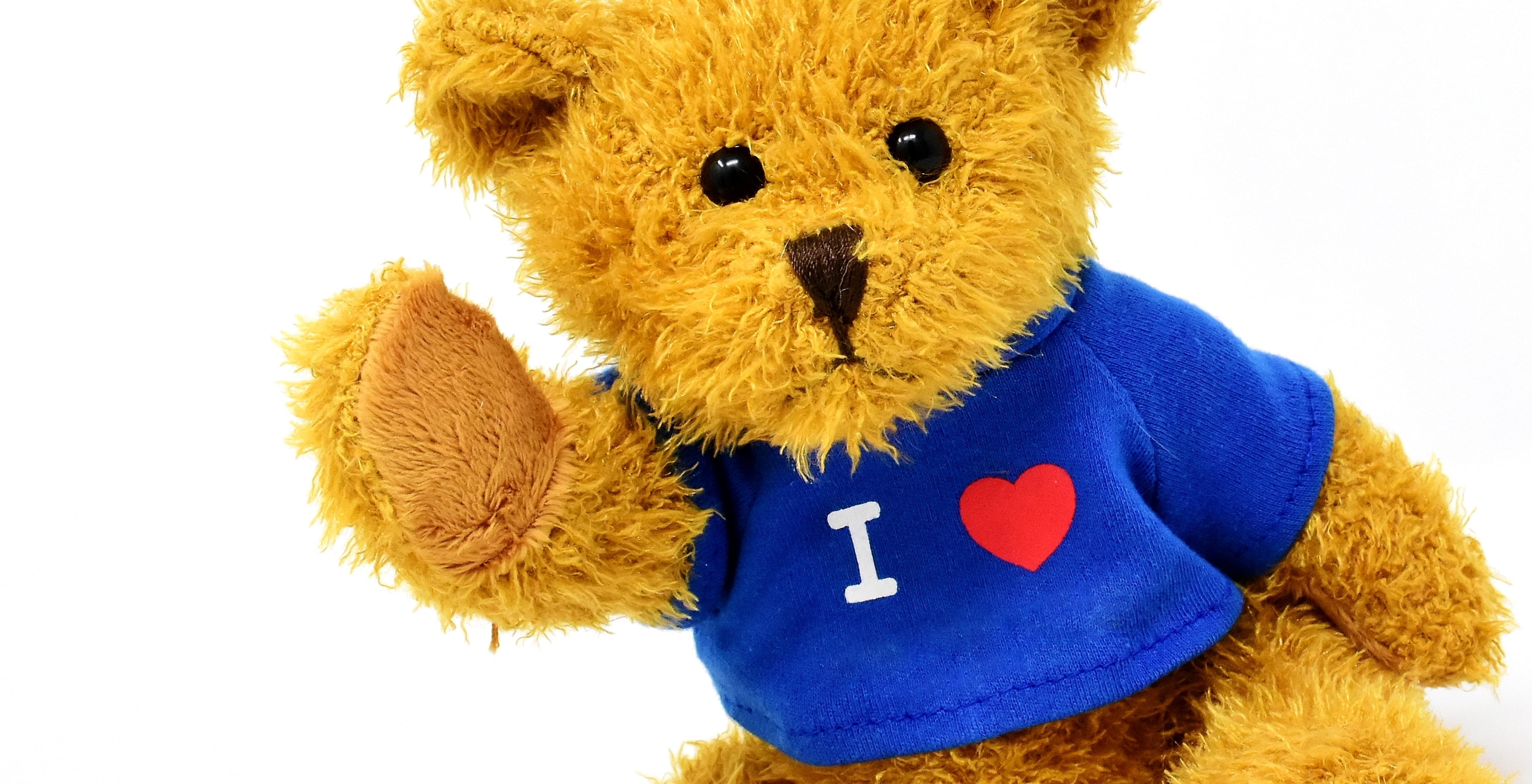 plush, sweet, children, toy, offspring, animal, children toys, innocence, teddy bear, fun, red, softness, bears, close-up, soft toy, cuddly, representation, HD Wallpaper