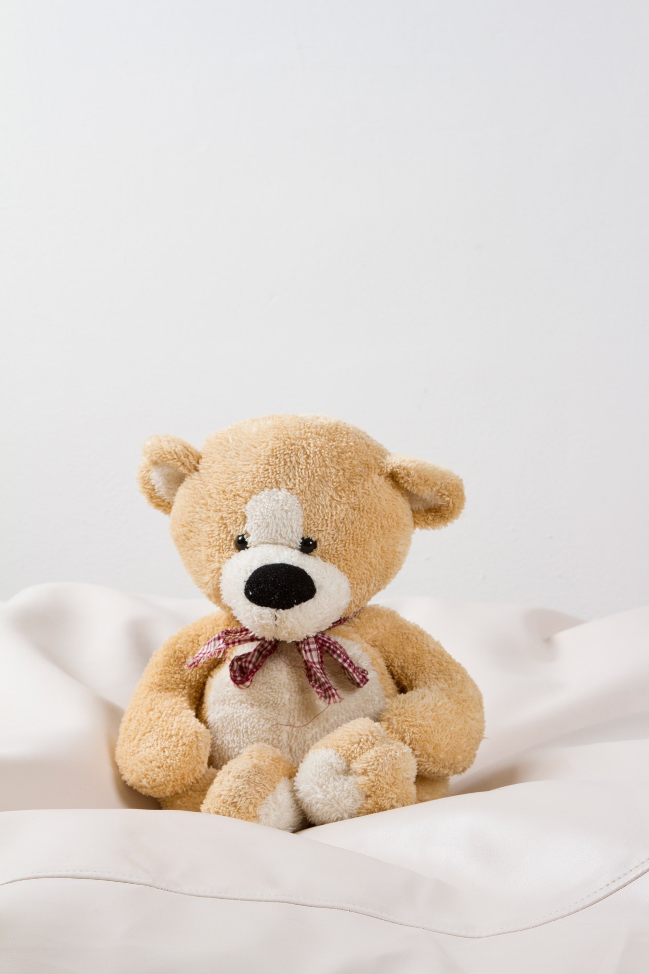 gift, white color, teddy Bear, copy space, still life, softness, bear, sitting, cut out, baby, plush, childhood, care, toy animal, 1080P, close-up, soft, Phone HD Wallpaper