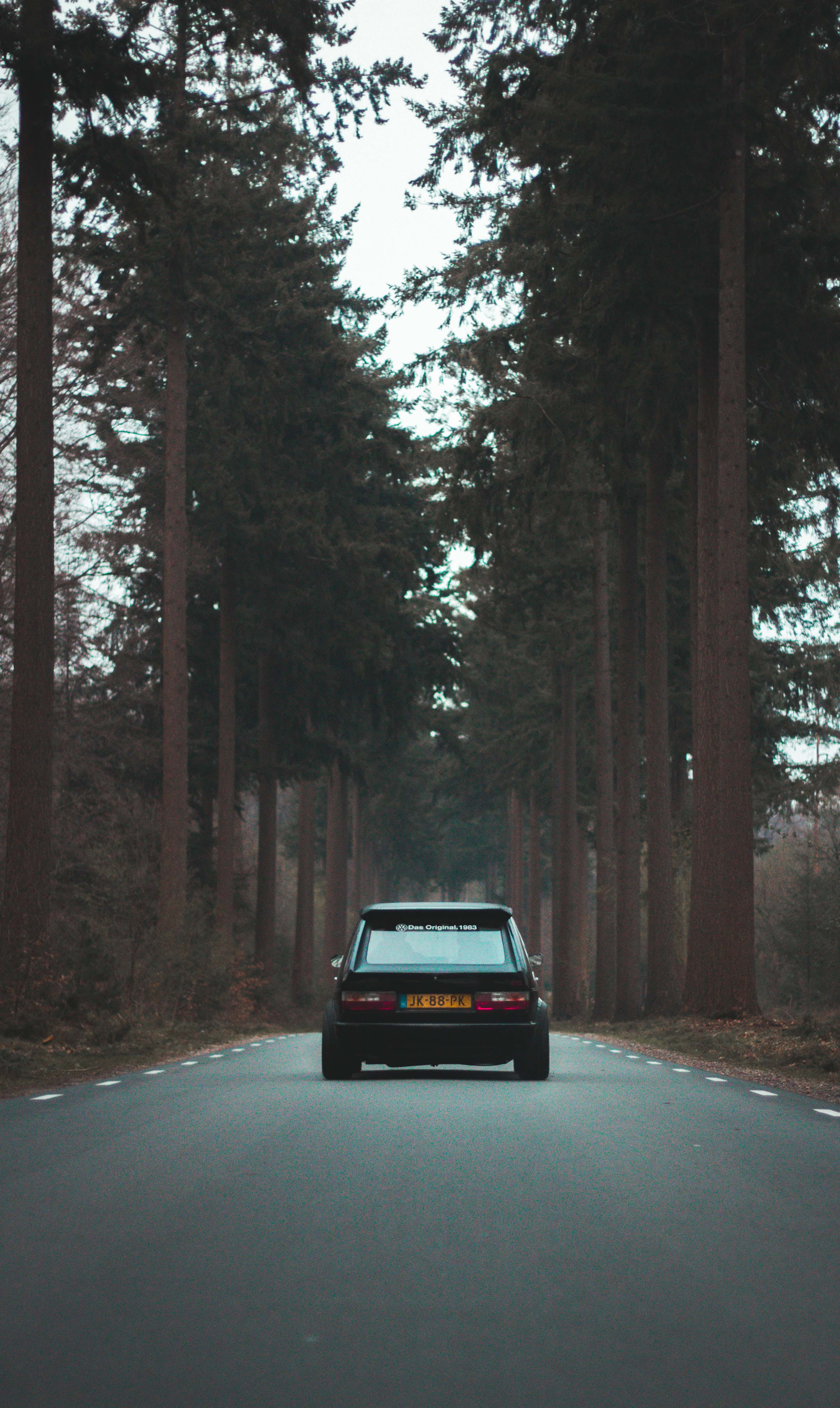 surrounded, trees, center, smug, city, forest, door, symmetry, outdoors, transportation, brown, plant, daytime, motion, tree, vw, volkswagen mk1, green, Phone HD Wallpaper