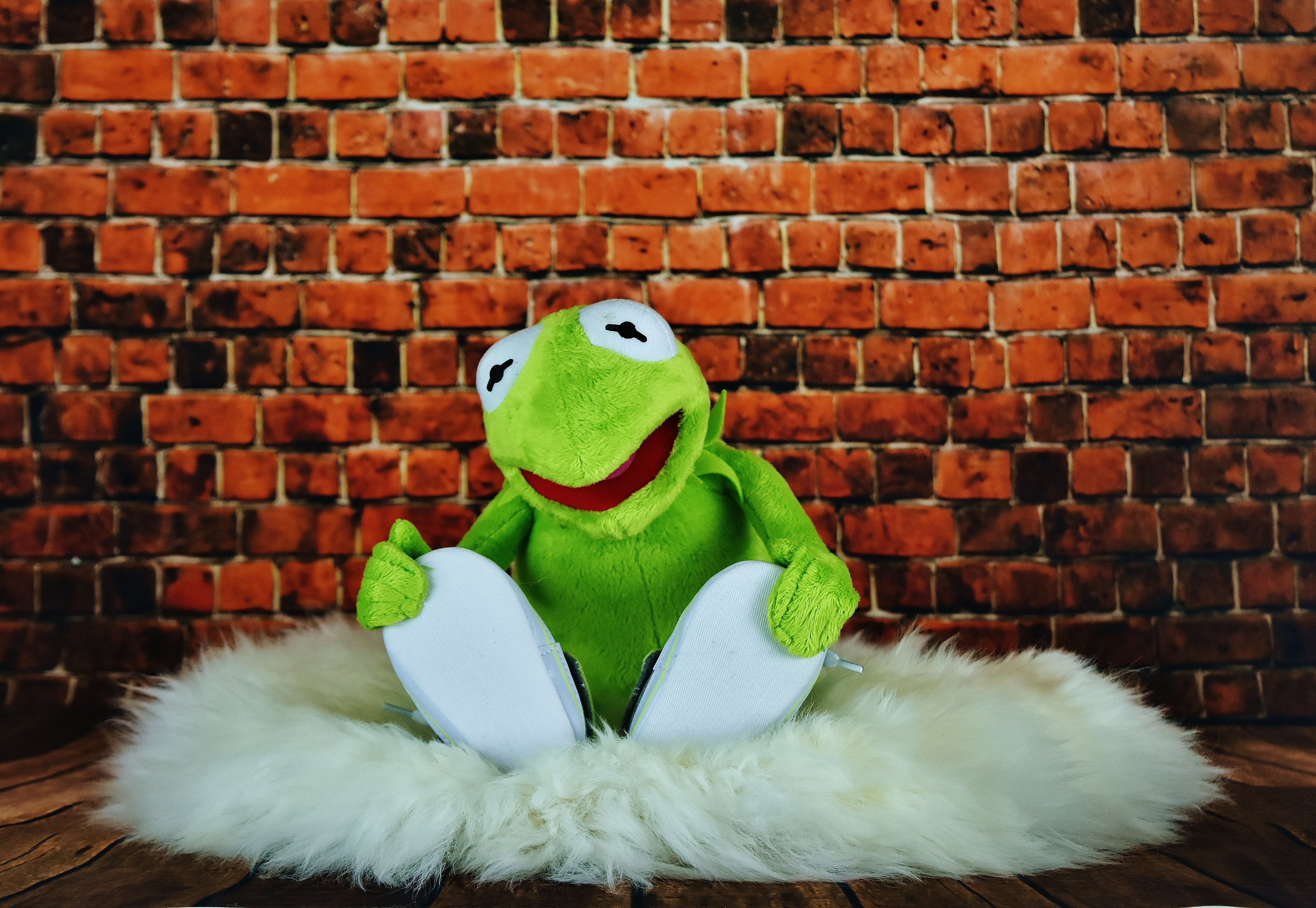 no people, mammal, fur, humor, sitting, funny, fun, animal, animal themes, representation, textile, indoors, winter, kermit, green color, christmas, animal representation, HD Wallpaper