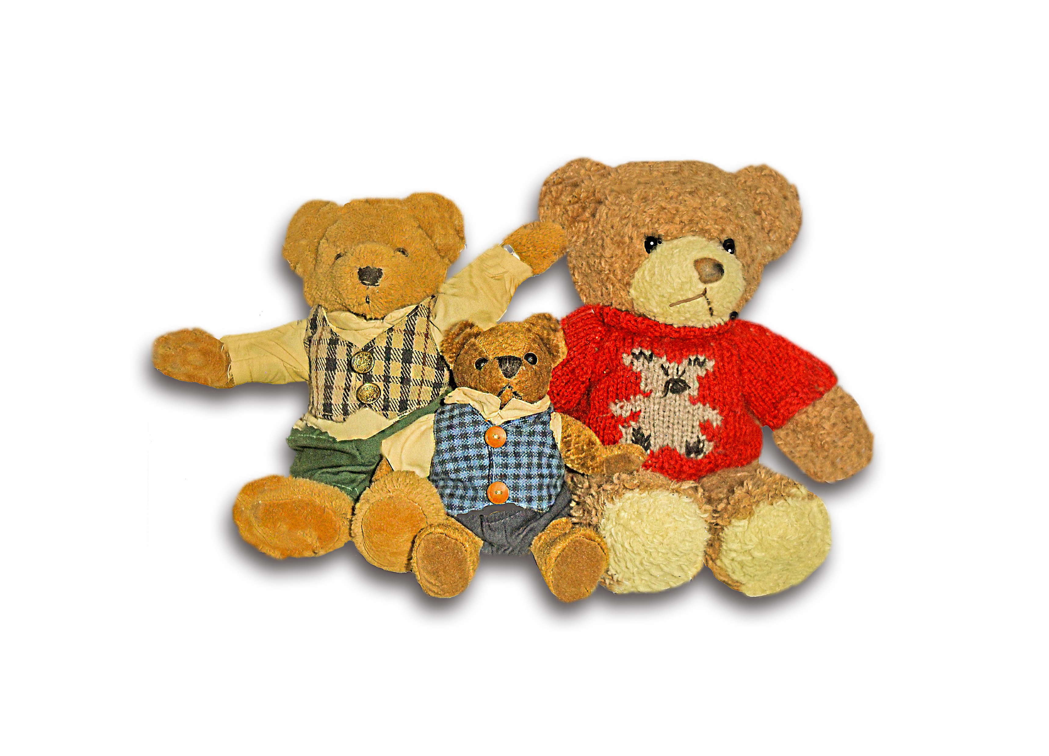 creature, bear collection, bear family, christmas, background, cookie, plush toys, studio shot, white background, collection, indoors, decoration, bear, HD Wallpaper