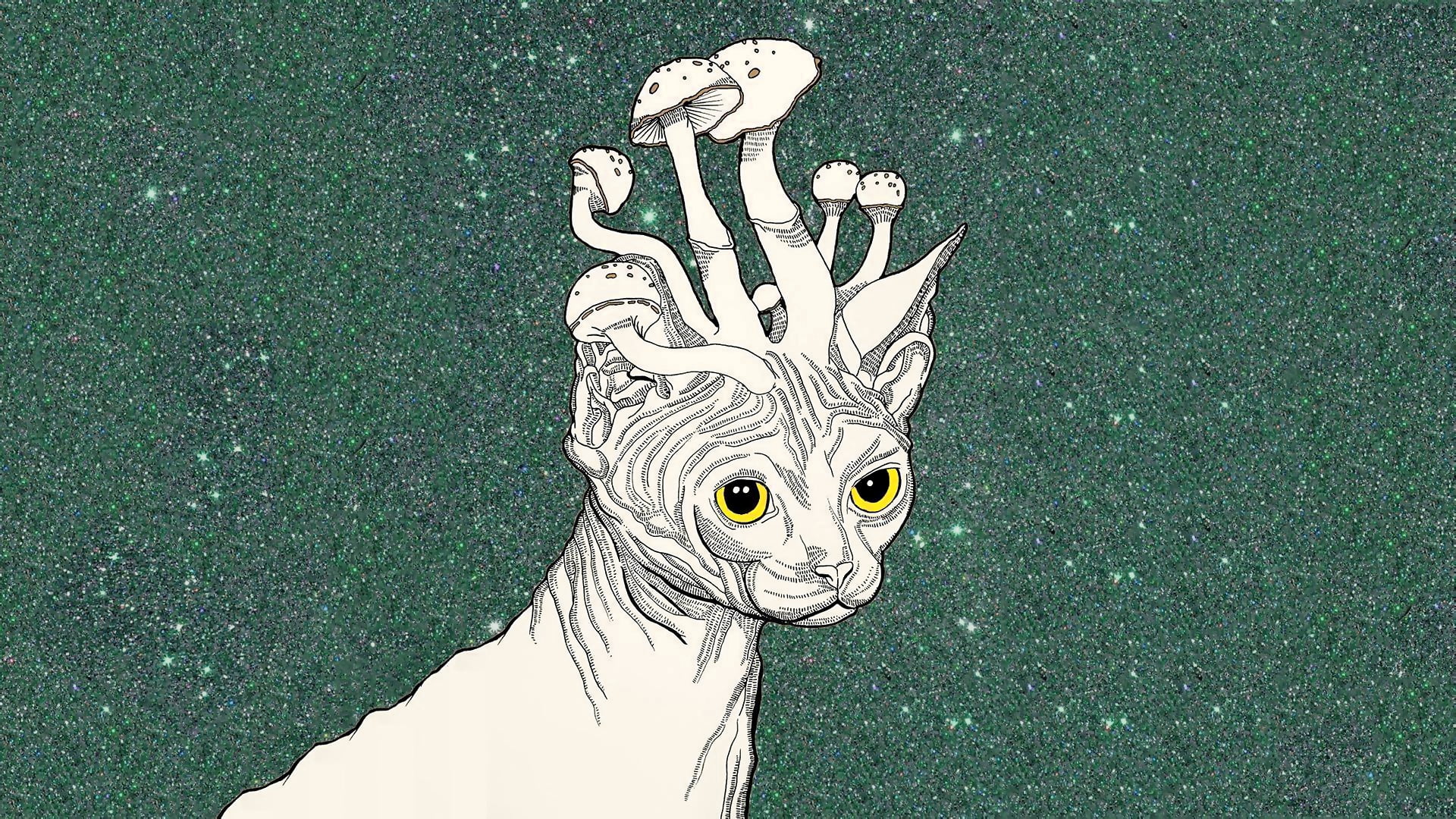backgrounds, art and craft, nature, trippy stoner, comic Book, grass, animal wildlife, animal representation, animal, vector, vertebrate, mushrooms, art, HD Wallpaper