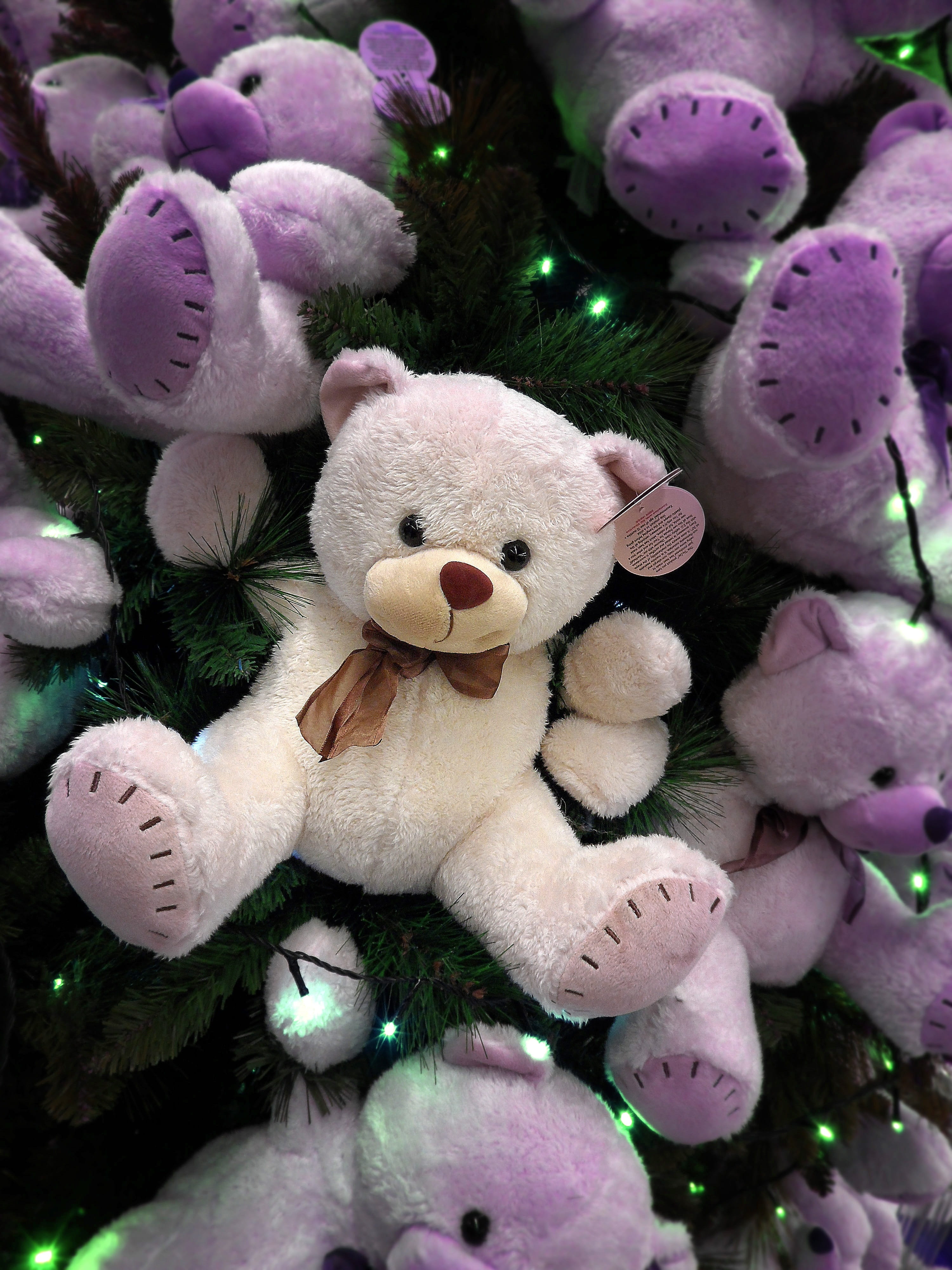 purple, lot, teddy Bear, indoors, toy, no people, gift, 4K, christmas tree, decor, doll, representation, bear, plush, christmas decoration, brown, Animal, Phone HD Wallpaper