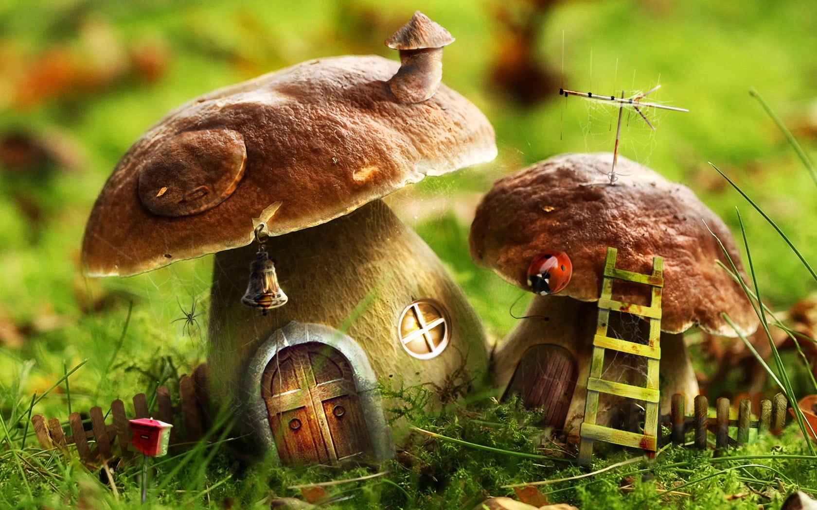 cepe, edible Mushroom, moss, day, mushroom, close-up, freshness, green, food, healthy Eating, organic, leaf, season, grass, 156, nature, peppery Bolete, HD Wallpaper