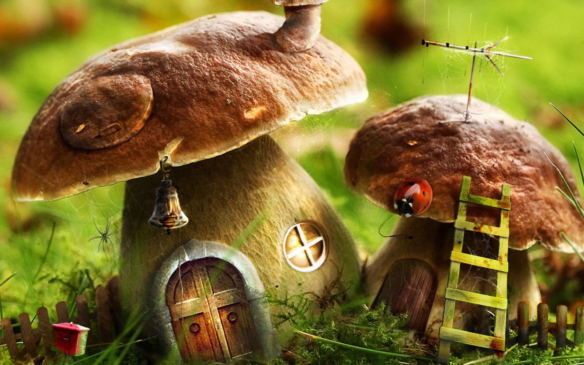 house, mushroom, other, mushrooms, 3d and abstract, 1080P, HD Wallpaper