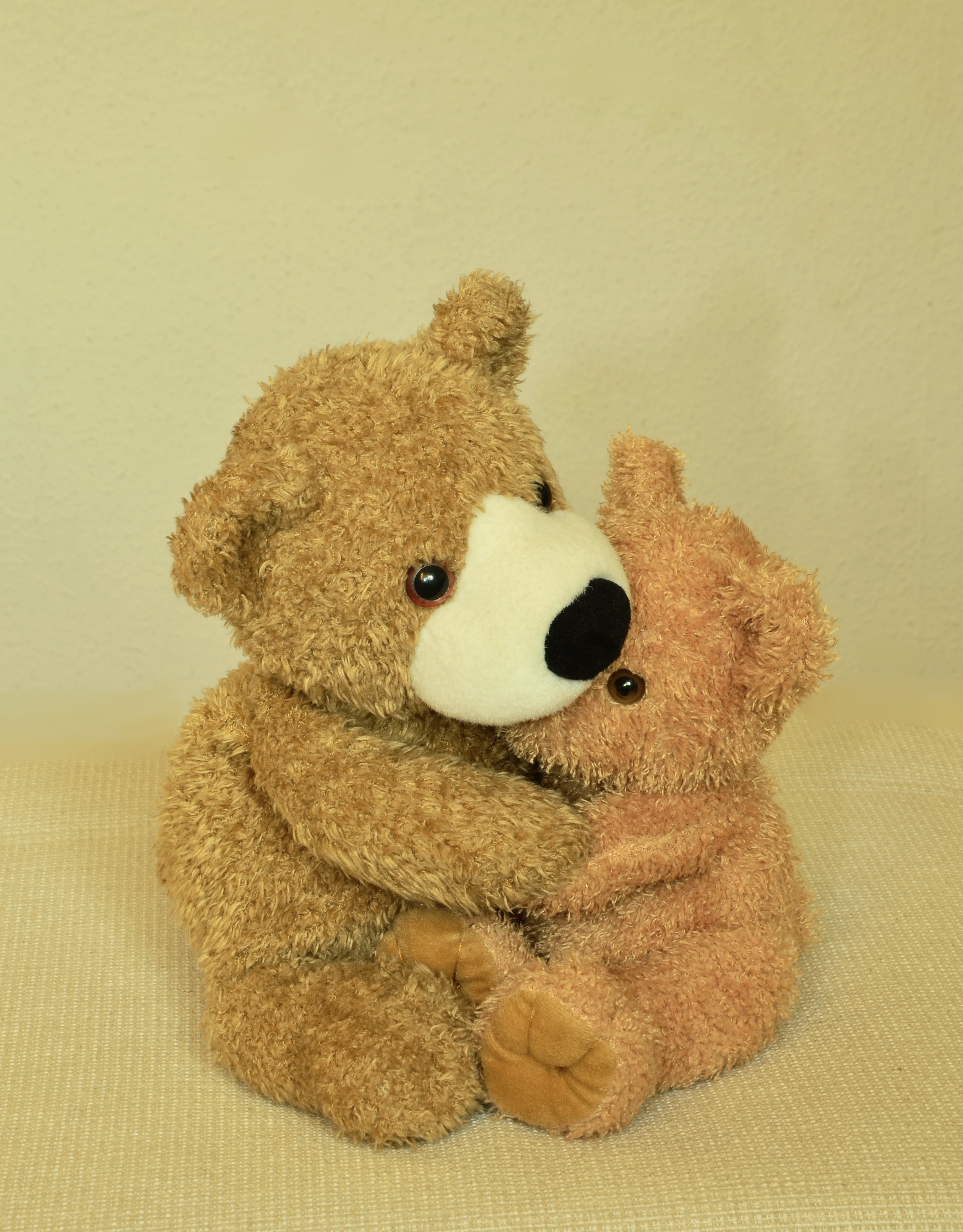 4K, bears, furry teddy bear, stuffed, bear, brown, close-up, stuffed animal, single object, love, toy animal, fur, toy, home interior, studio shot, animal, Phone HD Wallpaper