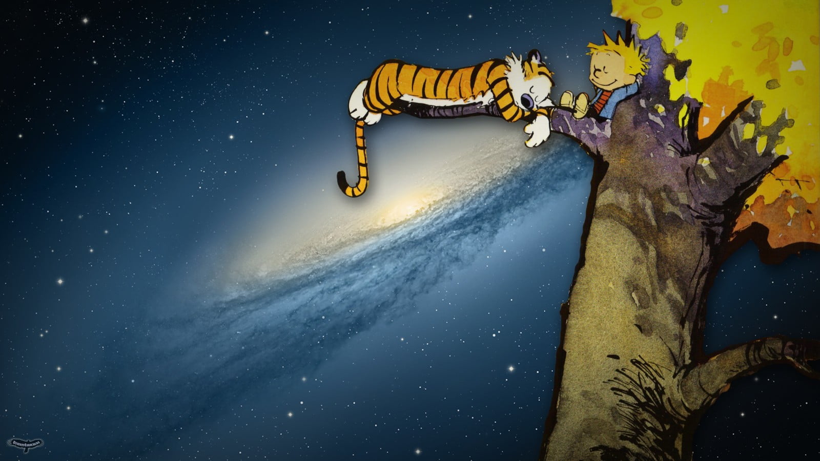 galaxy, beauty in nature, men, space, NGC 3190, Calvin and Hobbes, one person, tiger, sea, leisure activity, tree, nature, drawing, full length, real people, HD Wallpaper