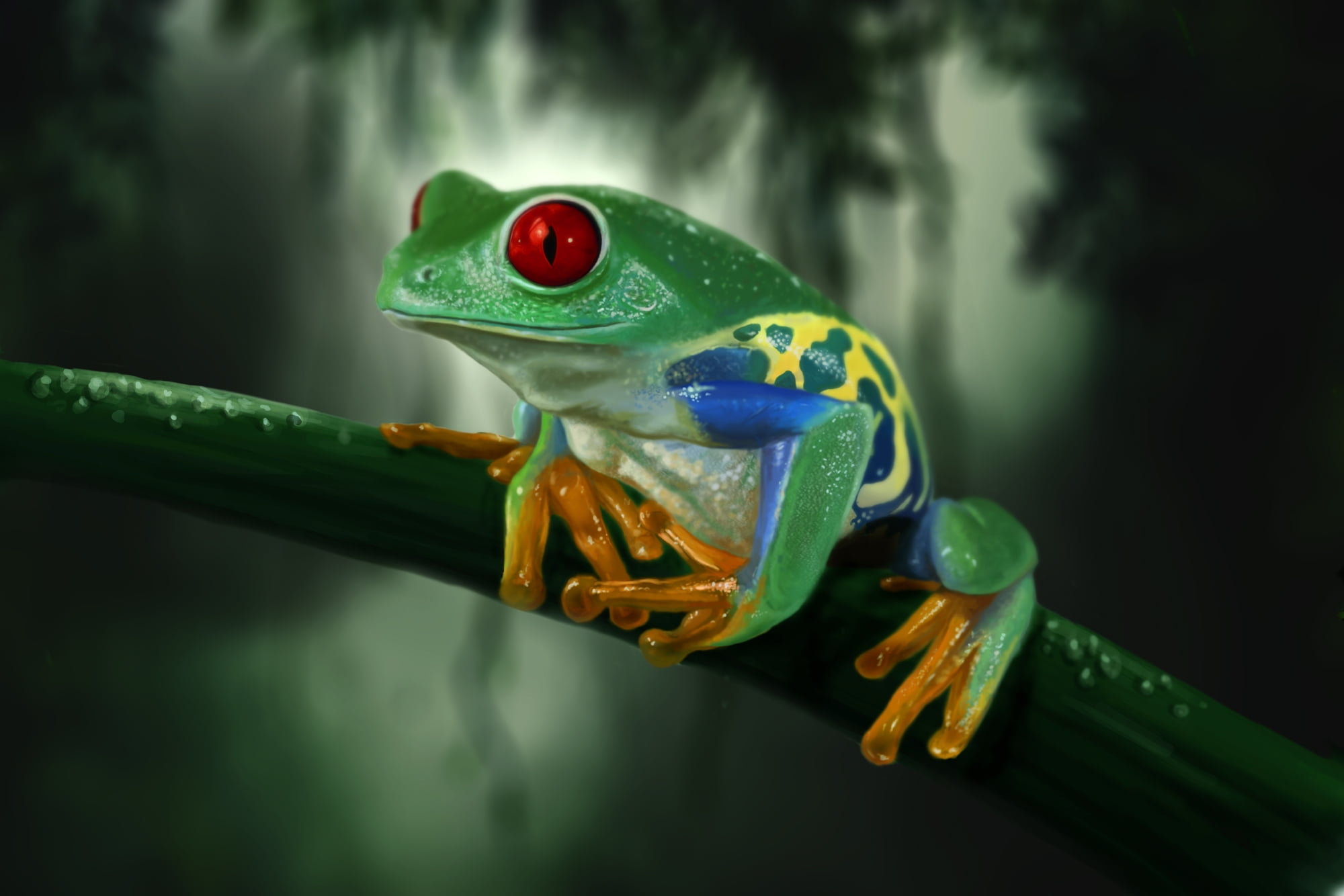 close-up, animal, nature, looking, amphibian, selective focus, colorful, vertebrate, tropical Climate, frog, animal head, animal Eye, wildlife, focus on foreground, HD Wallpaper
