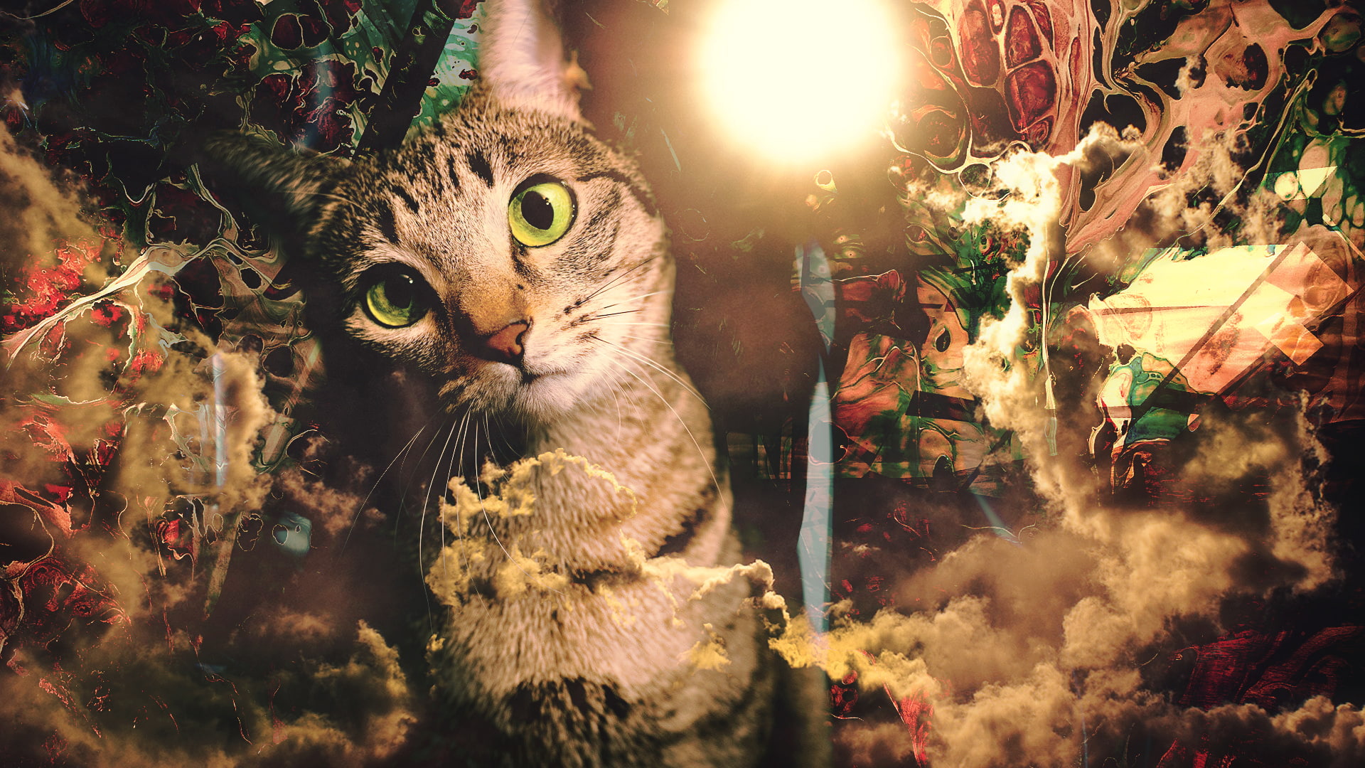 sky, cat, 1080P, paint splatter, swirl, clouds, abstract, HD Wallpaper