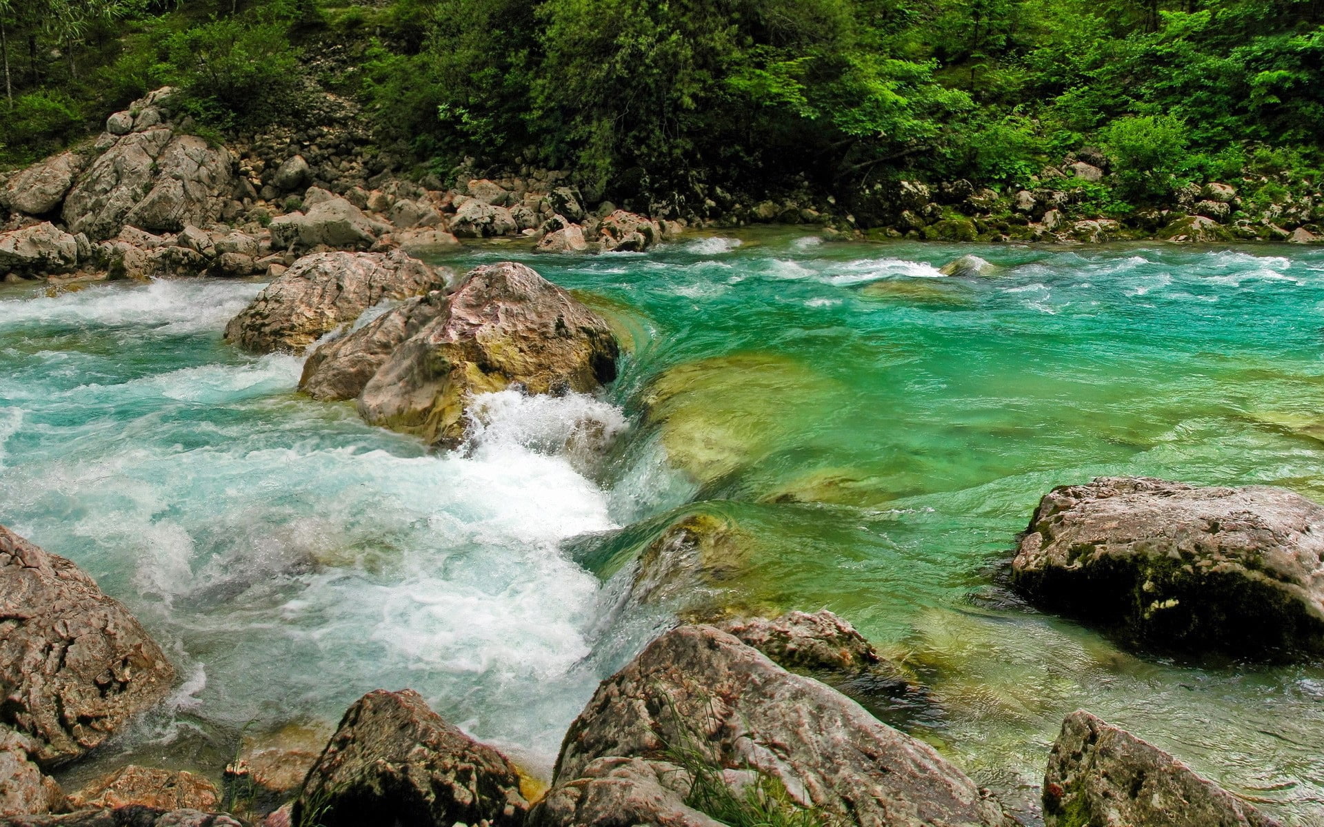  rock, sea, hd, no people, land, non-urban scene, turquoise colored, tree, outdoors, motion, flowing water, forest, rock formation, tranquil scene, HD Wallpaper