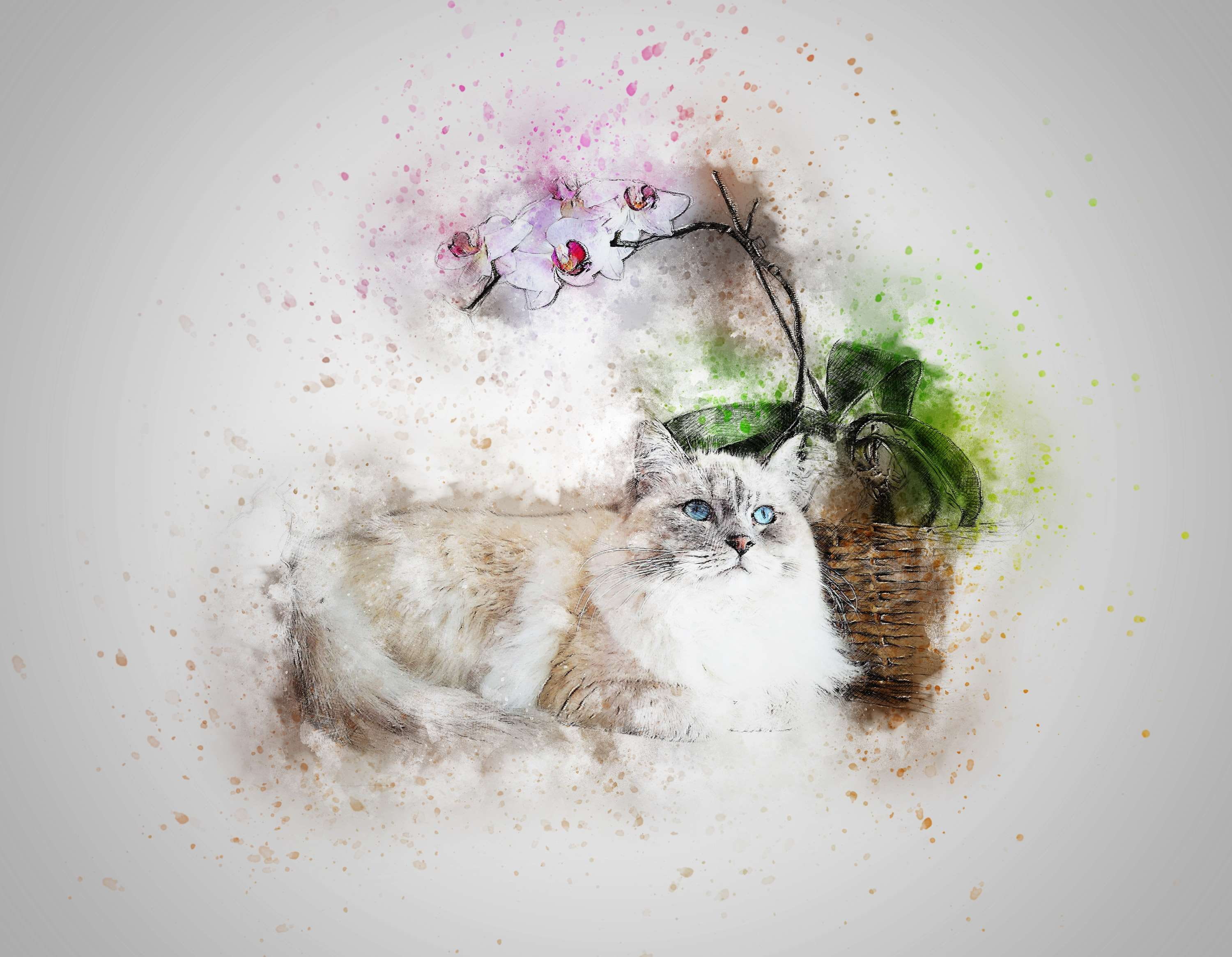 one animal, artistic, indoors, white color, pets, studio shot, whisker, directly above, pet, cat, design, art, vertebrate, vintage, 2K, emotion, feline, HD Wallpaper