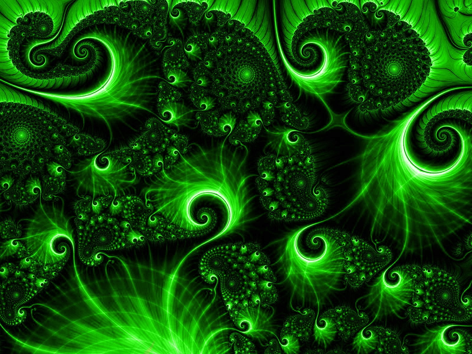 marine, shape, pattern, biology, technology, magnification, healthcare and medicine, animal themes, Digital Art, backgrounds, art, paisley, Artistic, close-up, HD Wallpaper