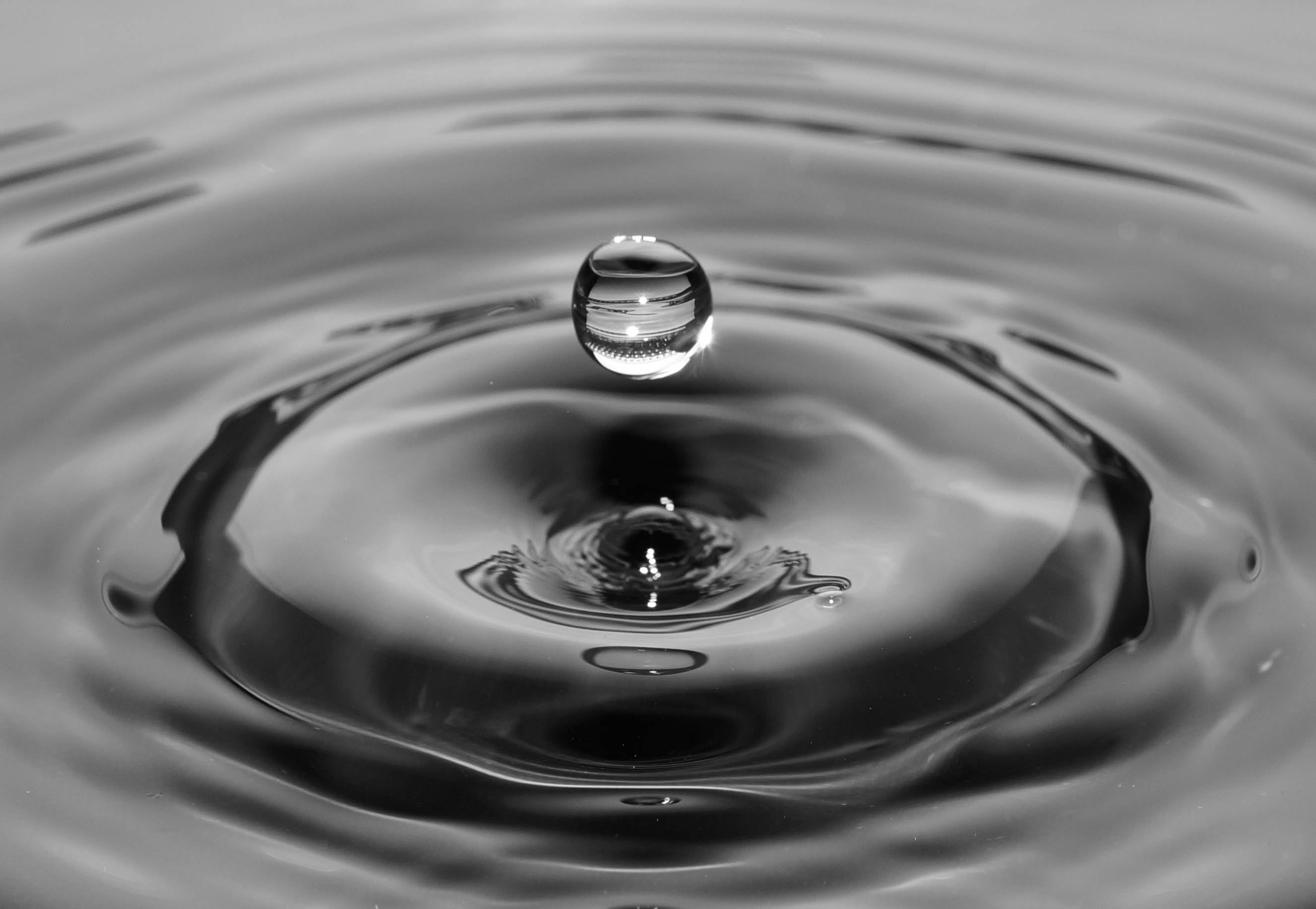 geometric shape, abstract, raindrop, impact, splashing droplet, bubble, concentric, ripple, black-and-white, falling, waves, purity, reflection, full frame, HD Wallpaper
