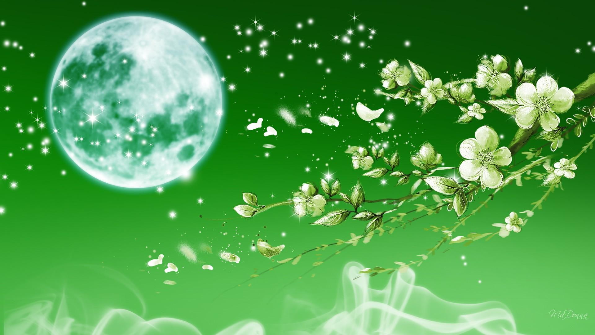 apple, summer, smoke, sparkles, flowers, green, blossoms, firefox persona, 1080P, apple blossoms, stars, full moon, spring, HD Wallpaper