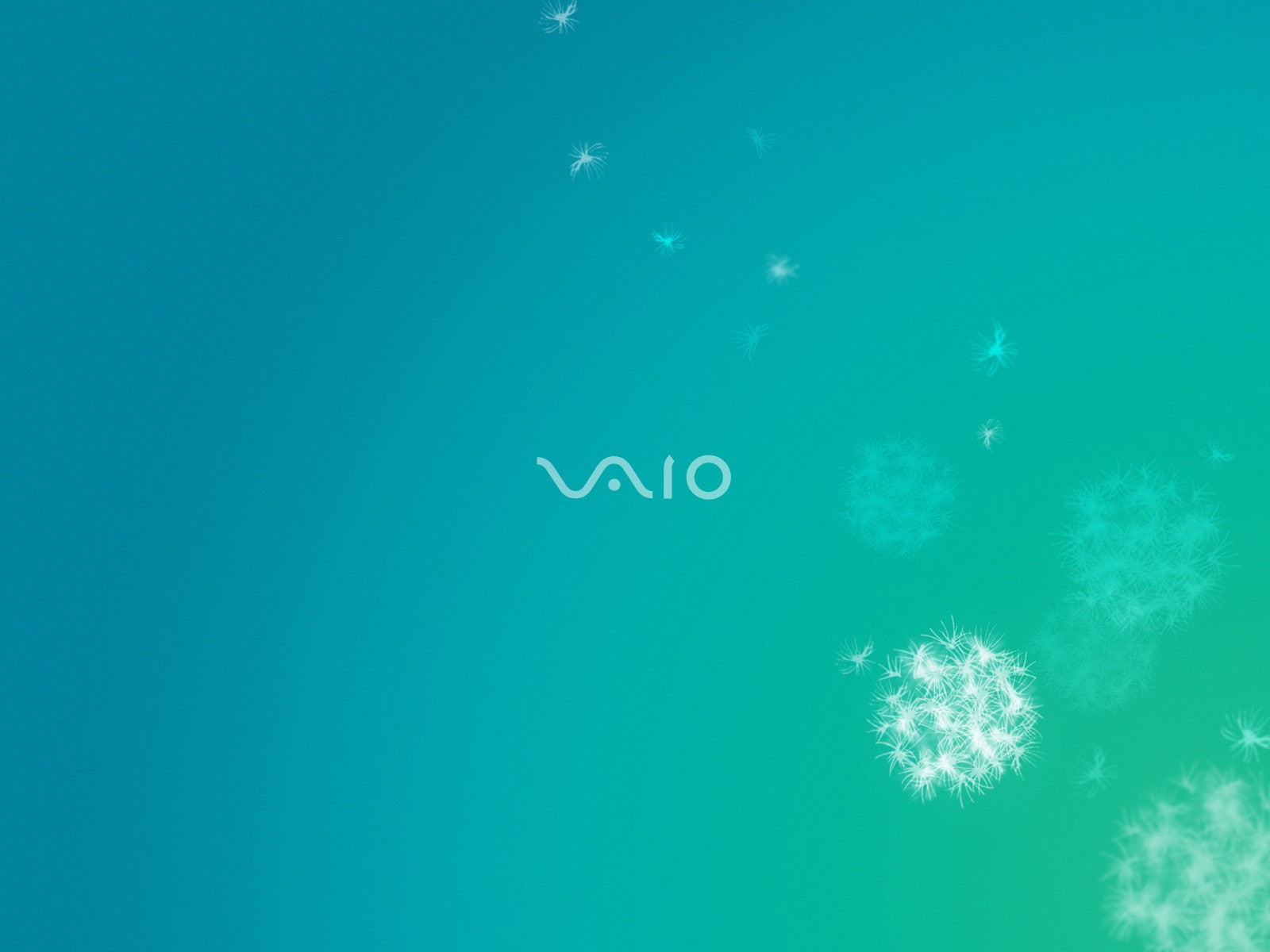 VAIO, 720P, Sony, HD Wallpaper