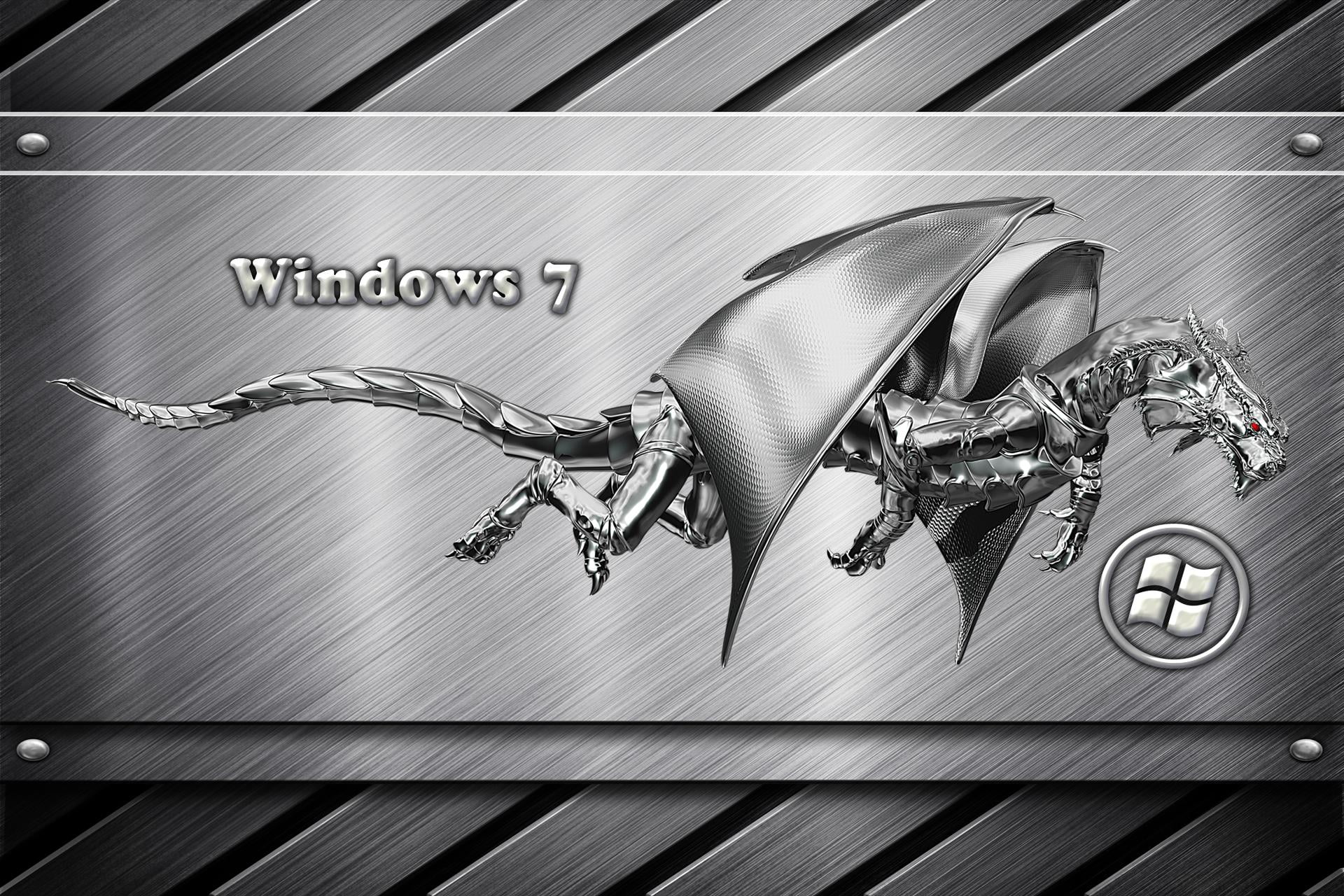 Windows 7, high angle view, steel, windows, technology, security, dragon, Computers, protection, win, social issues, no people, text, alloy, still life, HD Wallpaper