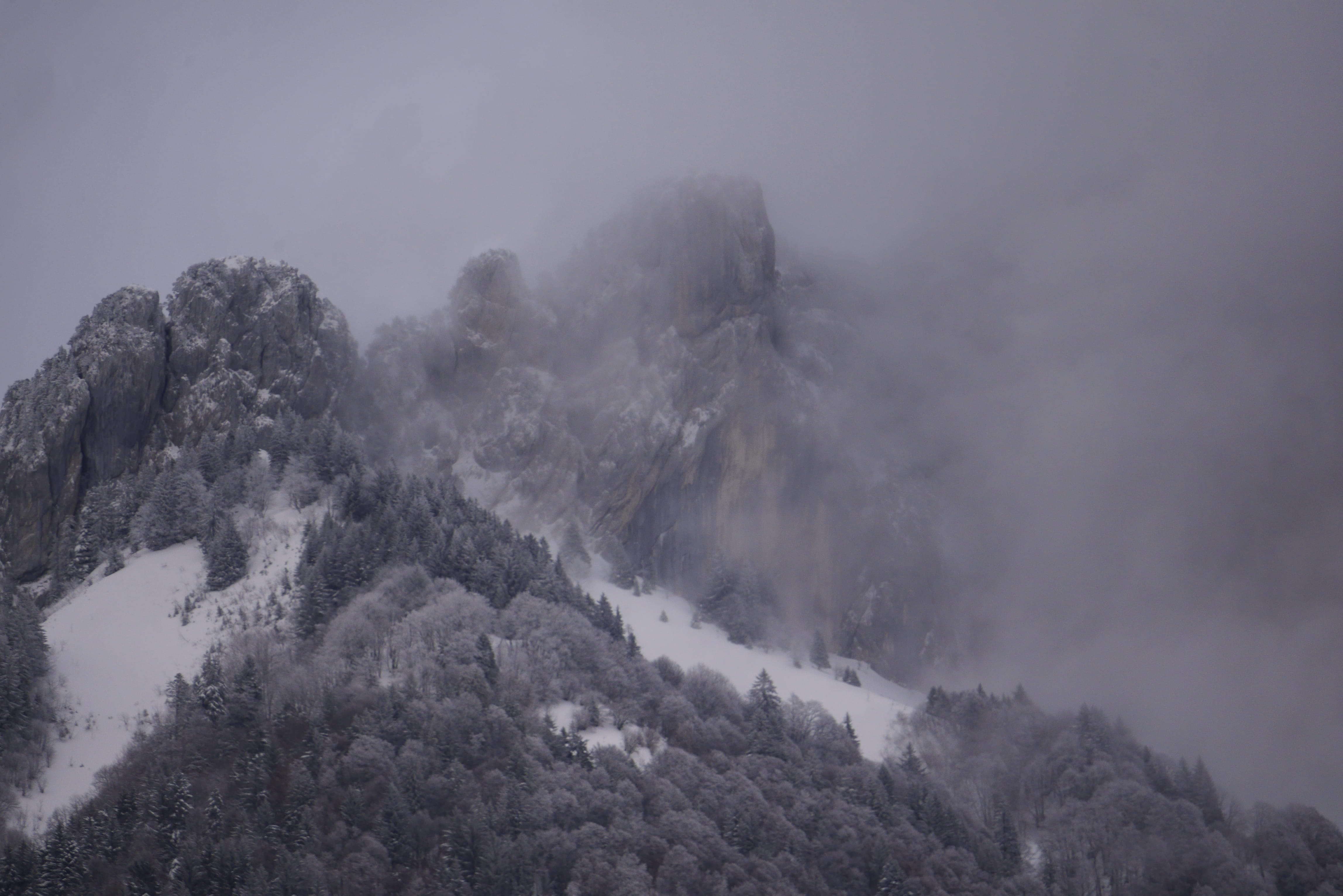 avalanche, conifer, cold temperature, mountain, landscape, idyllic, winter, plant, fog, fir, tree, tranquil scene, scenics - nature, outdoors, HD Wallpaper