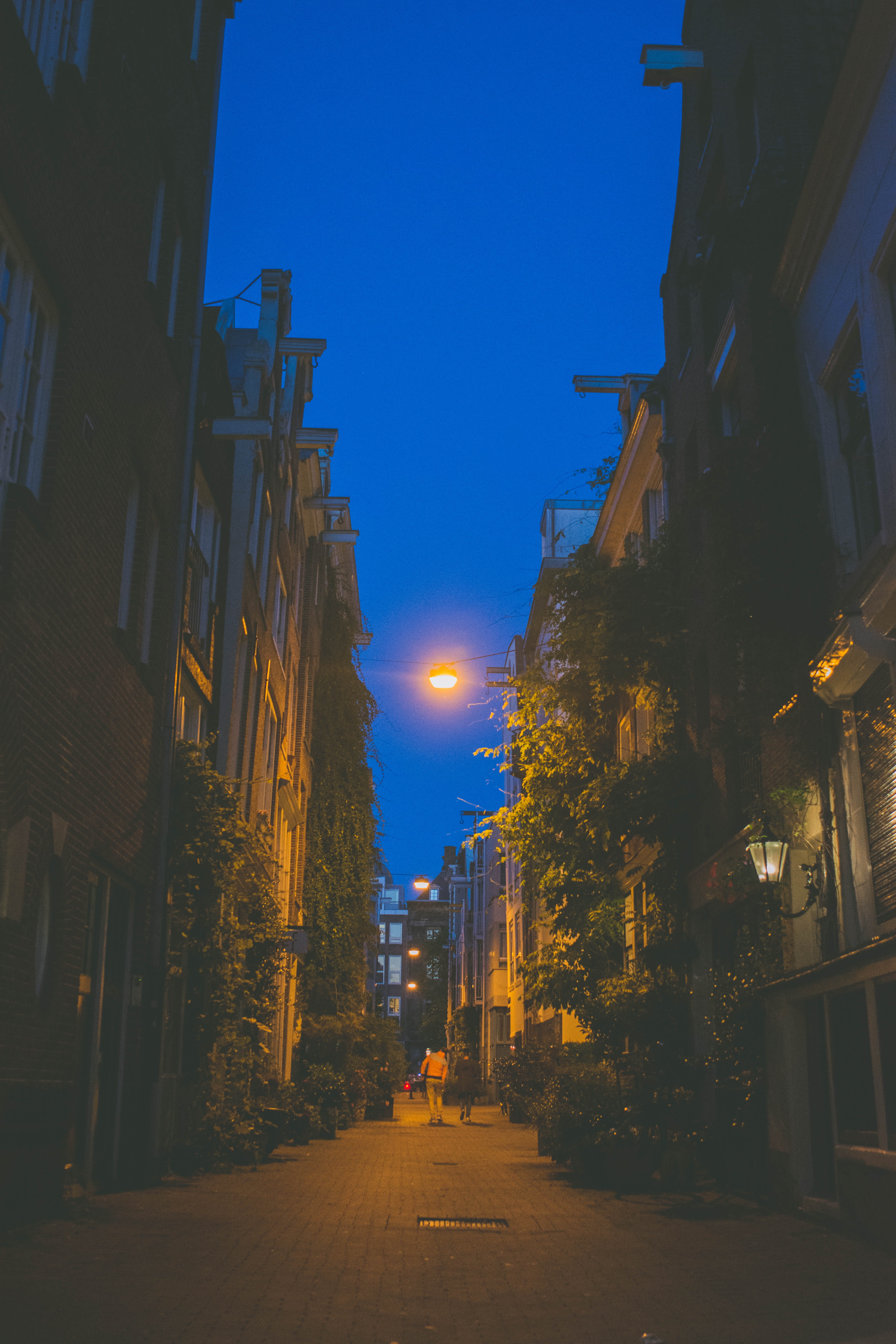 tarmac, architecture, direction, the way forward, town, paises bajos, walkway, city, street light, lighting equipment, long, illuminated, urban, asphalt, Phone HD Wallpaper