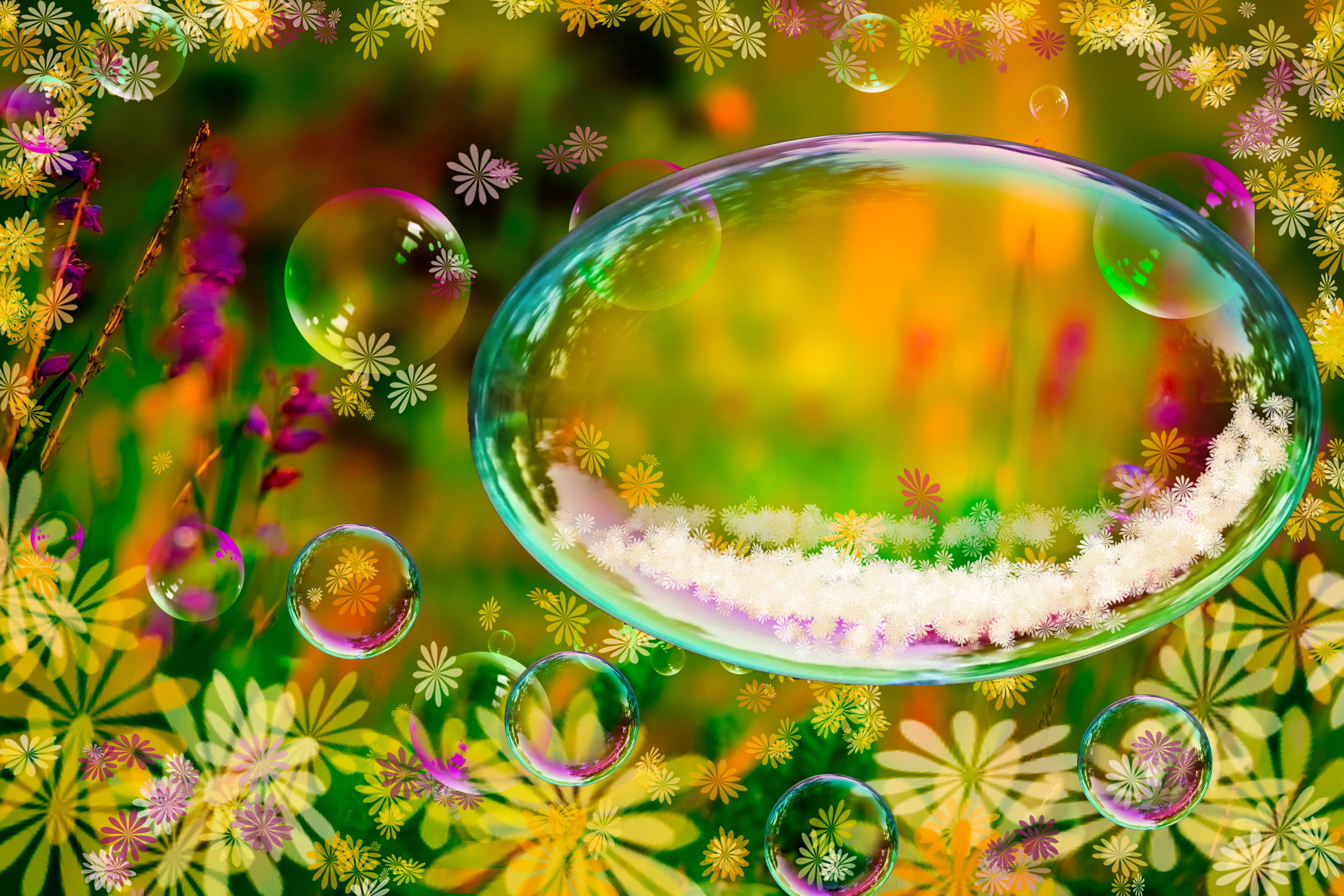 multi colored, 4K, floral pattern, beauty in nature, focus on foreground, reflection, table, bowl, flower, flowering plant, plant, transparent, newborn props, HD Wallpaper