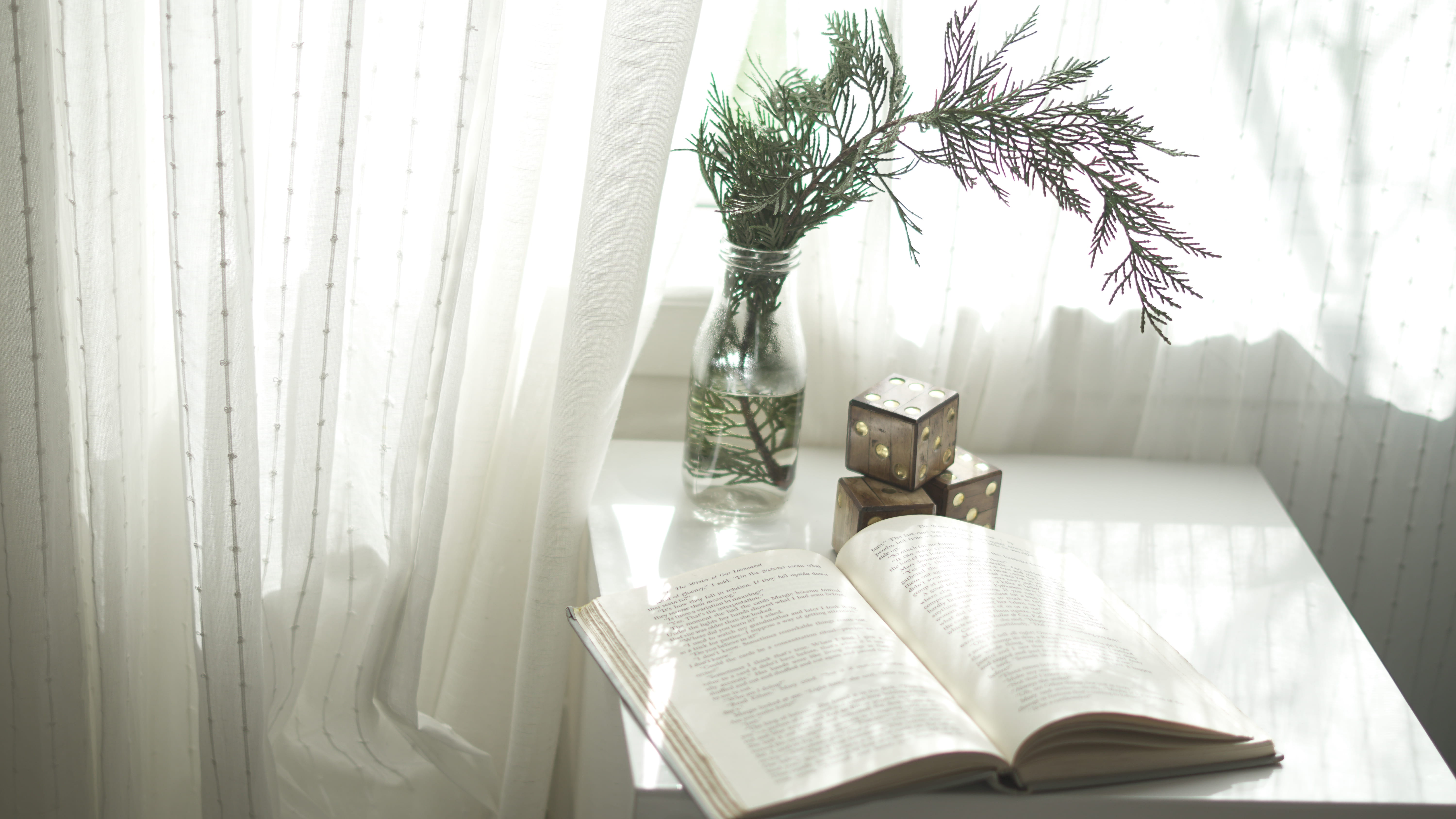 vase, sunlight, home interior, decor, furniture, literature, indoors, no people, opened, book, education, publication, top, window, curtain, wooden, nature, HD Wallpaper
