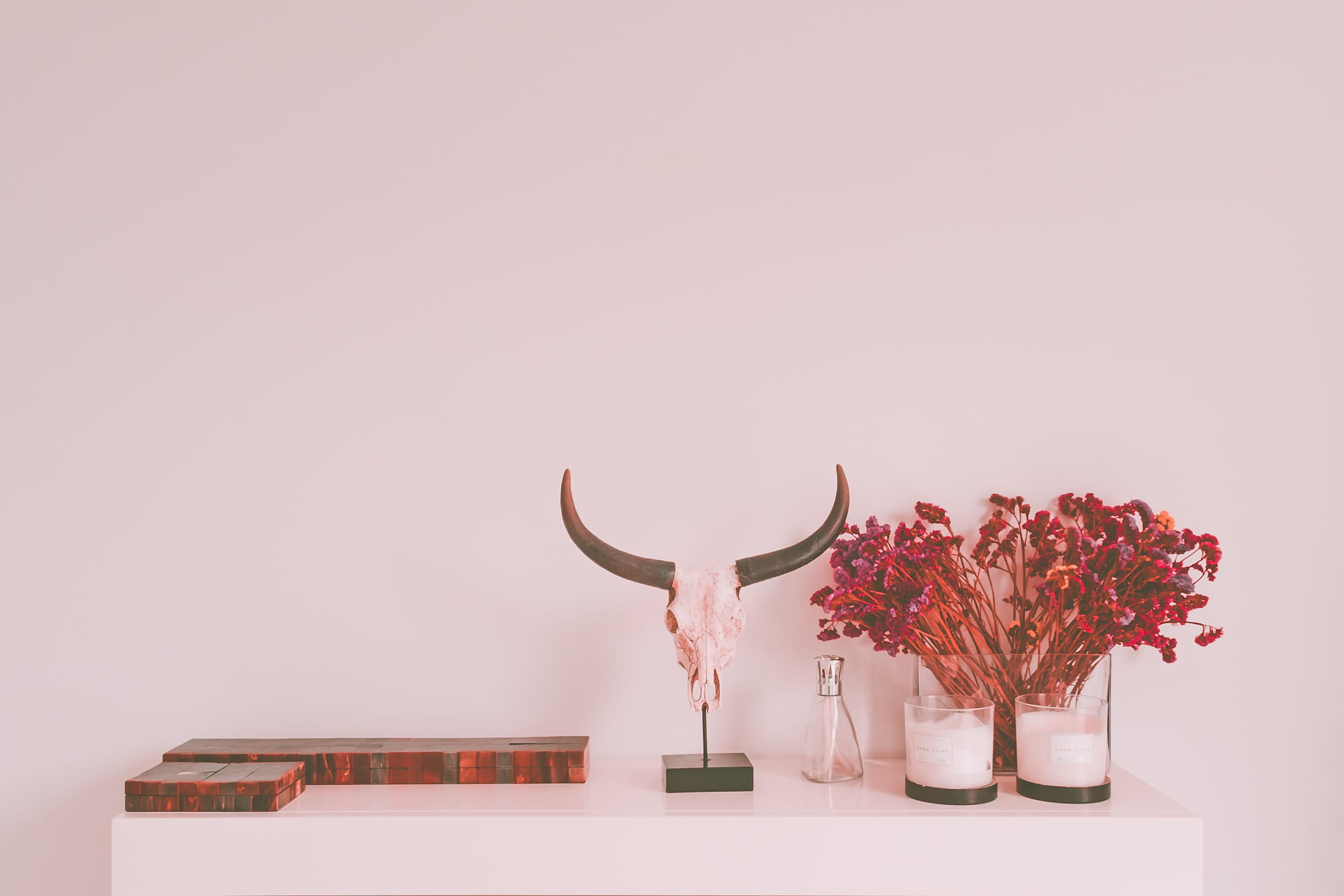 side, pink color, display, colored background, clipart, skull, person, decoration, representation, human, indoors, table, animal, flower, nature, horned, HD Wallpaper