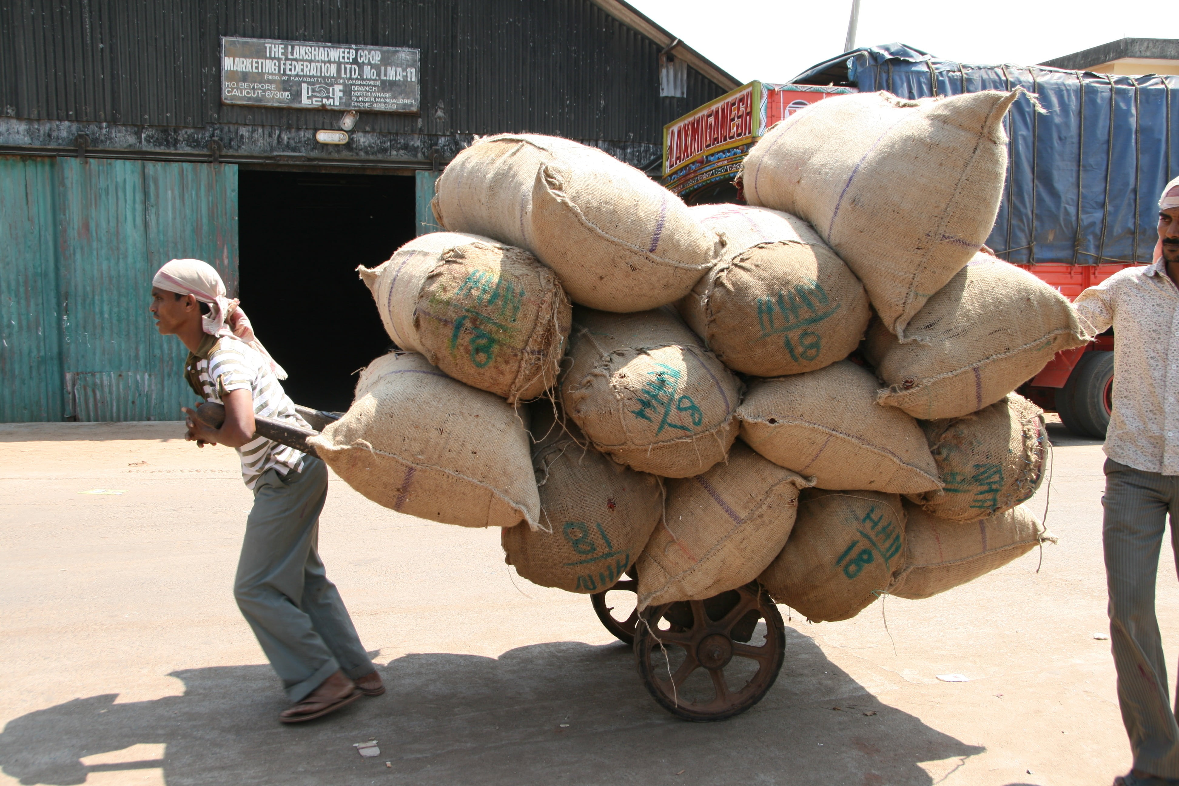 side view, walking, people, sack, heavy load, man, sacks, transportation, hard labour, military, sack barrow, carrying, adult, nature, stack, government, HD Wallpaper