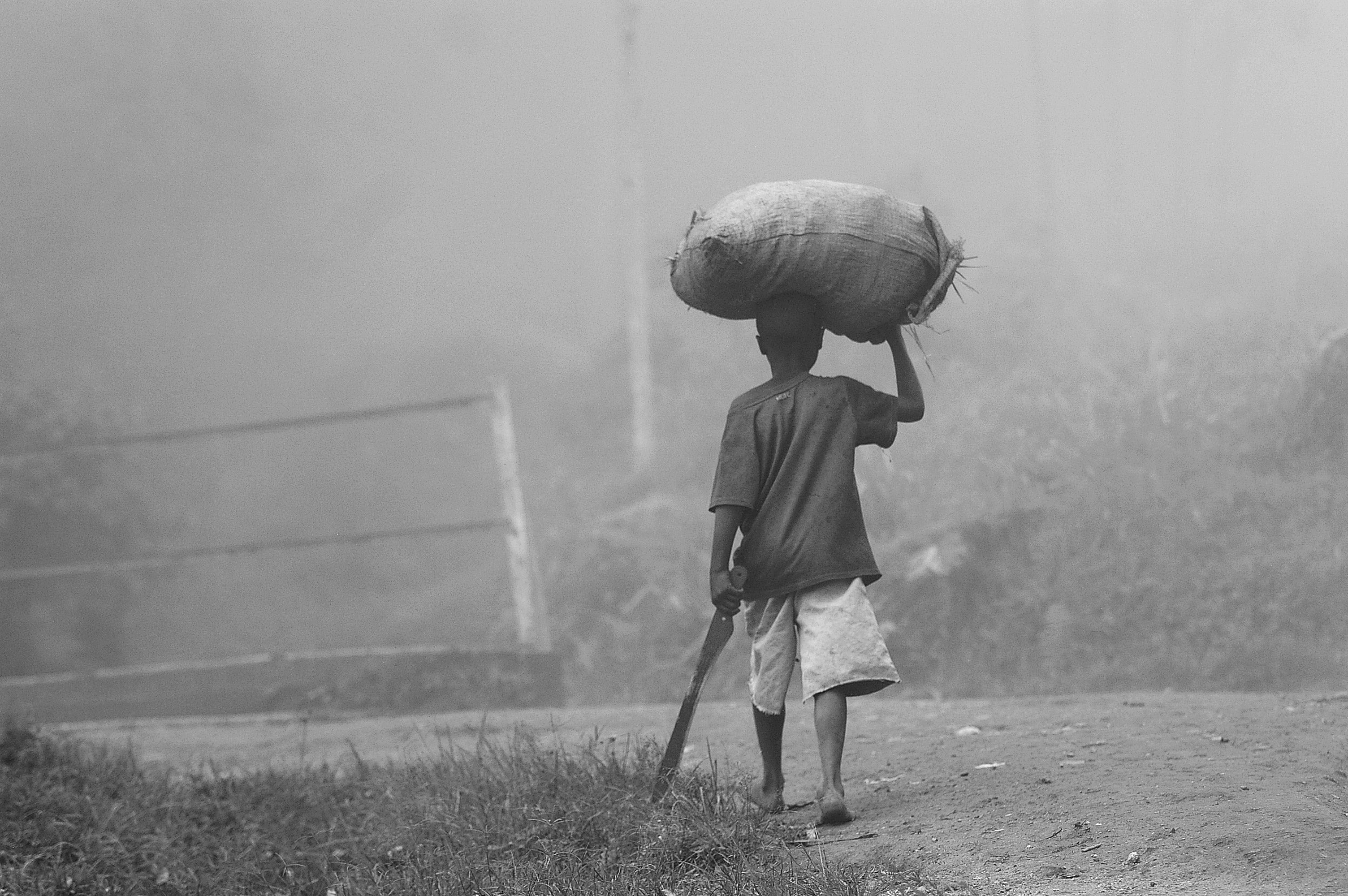 full length, rural, men, plant, uganda, man, standing, outdoor, sack, land, farm, farmer, field, farmland, photography, casual clothing, nature, child, HD Wallpaper