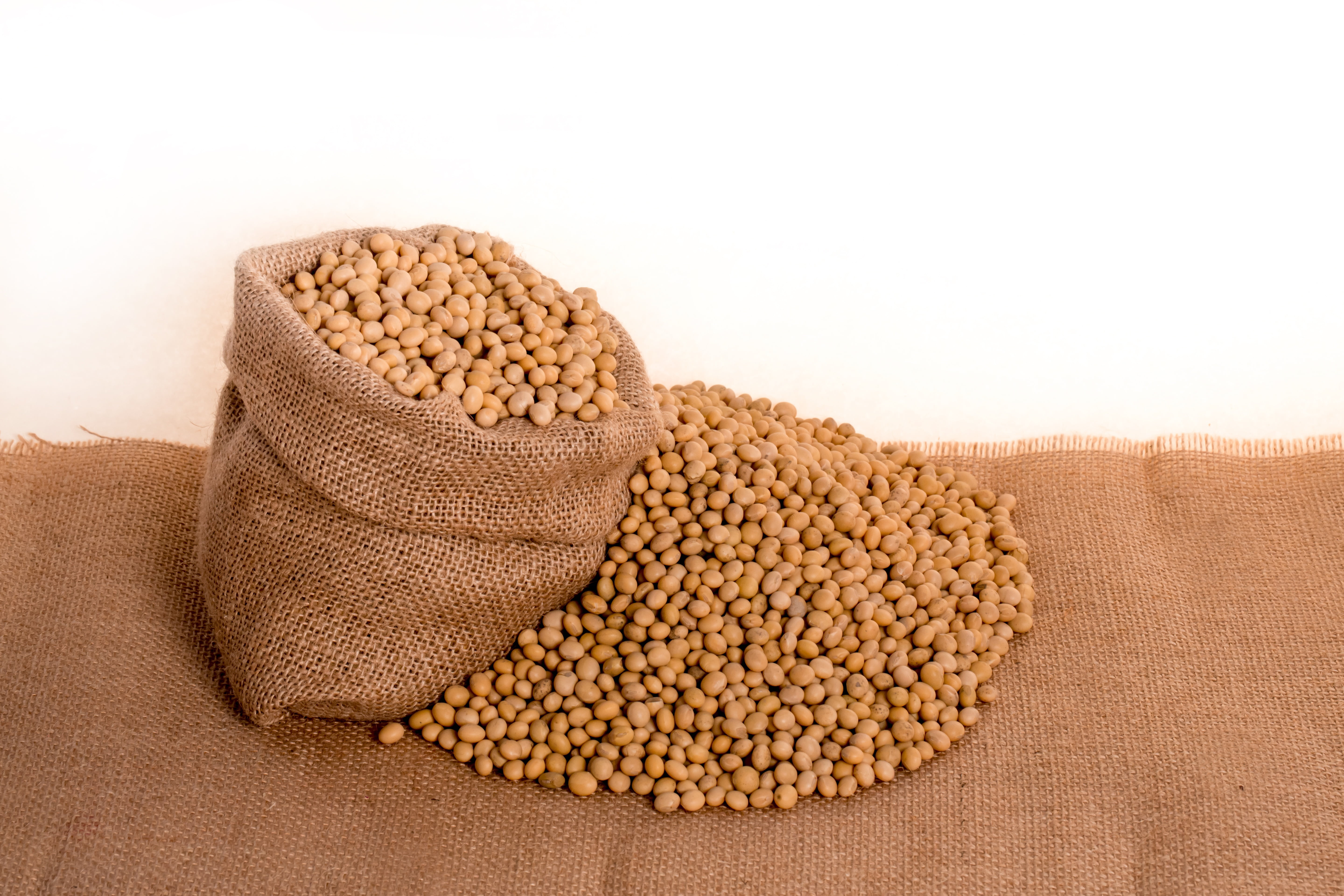 wellbeing, seed, grain, oil, 5K, crop, raw Food, legume family, bean, vegetarian Food, burlap, brown, nature, studio shot, beans, healthy Eating, close-up, HD Wallpaper