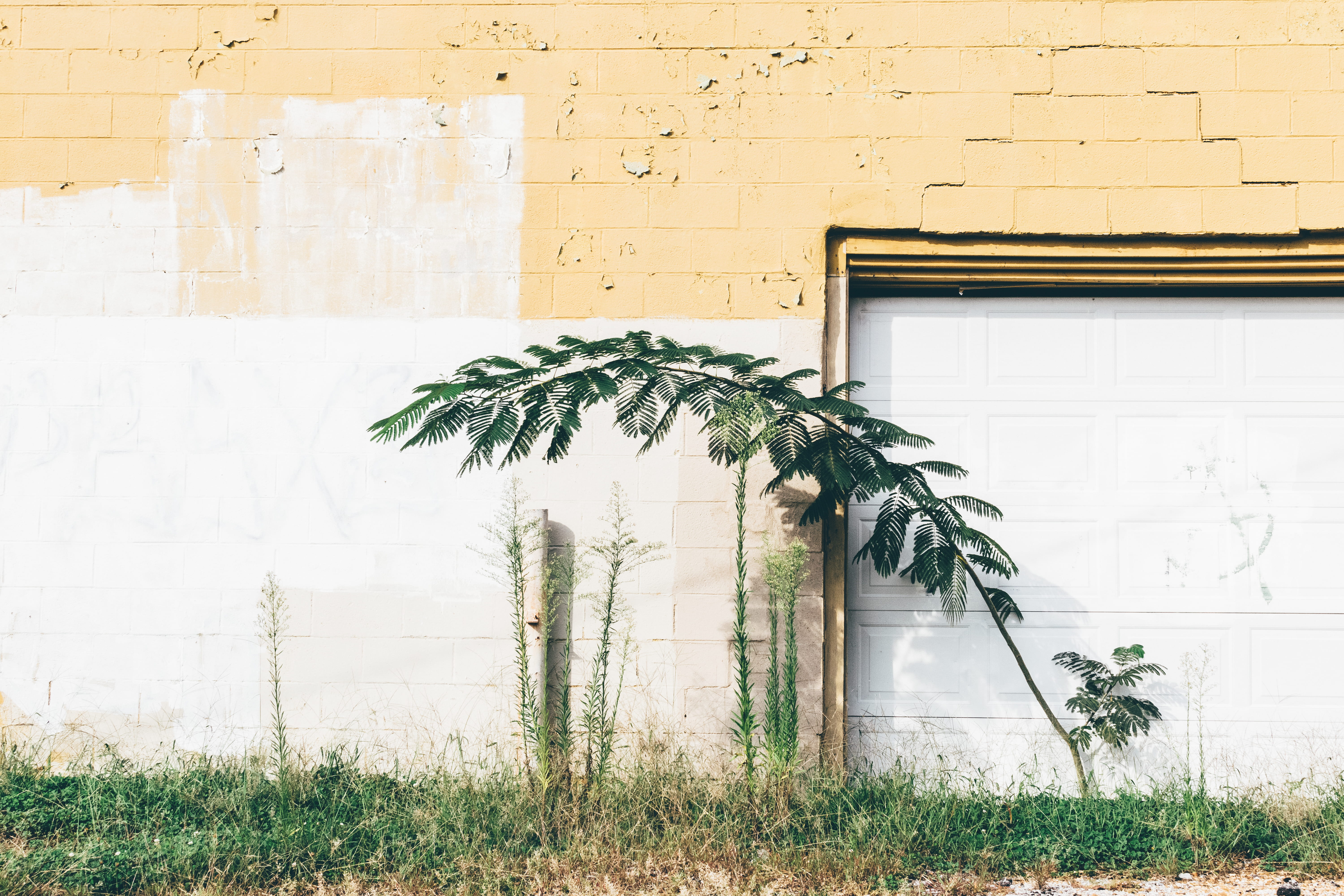 brown, memphi, building, brick wall, urban nature, concrete, urban, window, daytime, brick, leaf, beige, nature, 5K, documentary, sunlight, outdoors, no people, HD Wallpaper