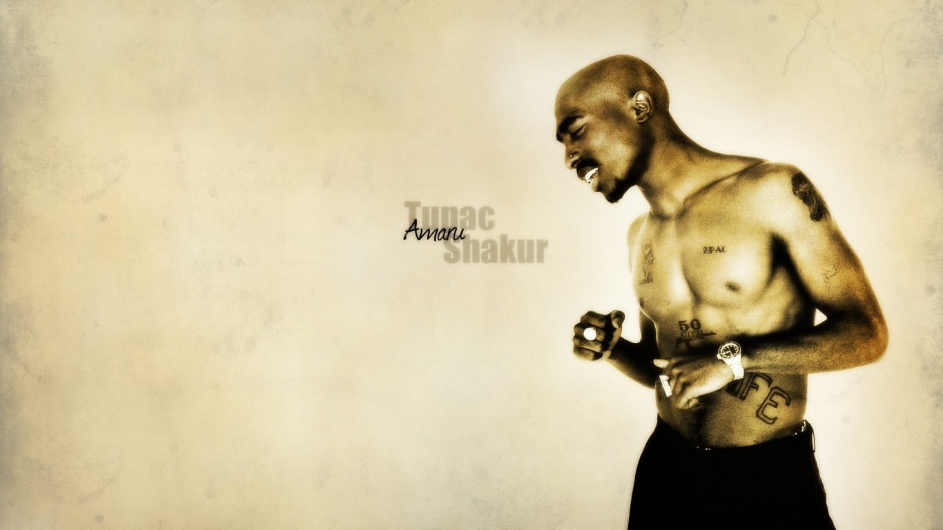 colored background, adult, indoors, one animal, 2pac musicians makaveli, copy space, holding, mammal, men, humor, communication, profile view, textured effect, HD Wallpaper