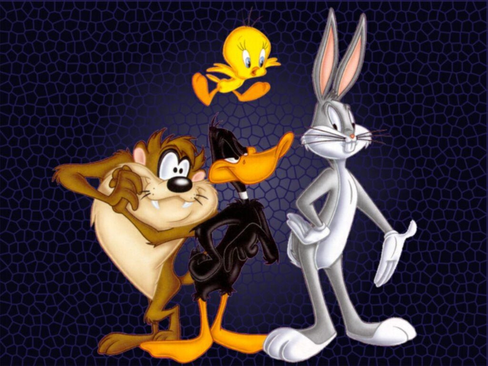 humor, looney, tunes, family, funny, merrie, melodies, 720P, cartoon, HD Wallpaper