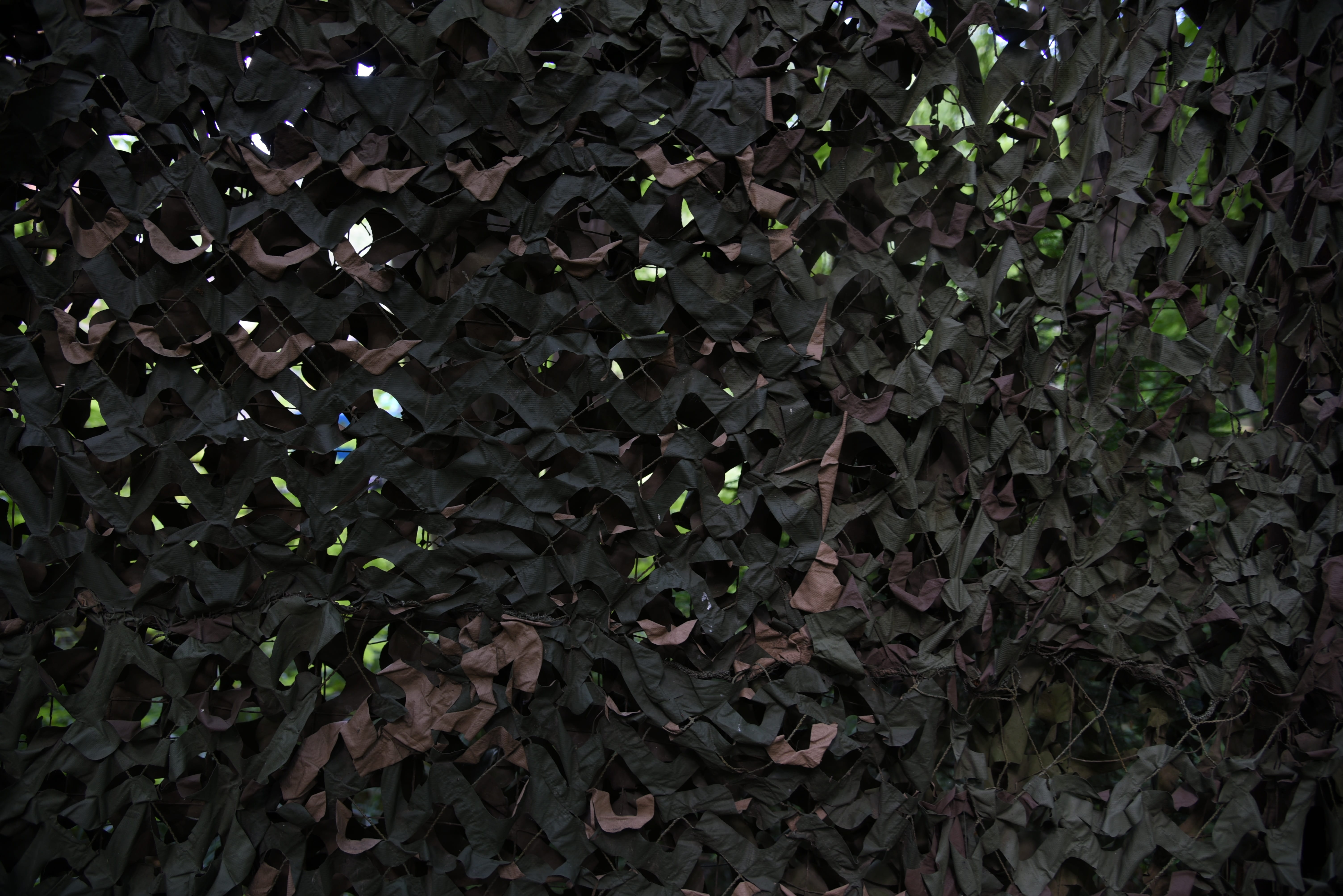 camo, beauty in nature, backgrounds, network, growth, full frame, leaf, green color, tree, leaves, khaki, abundance, creeper plant, close-up, no people, HD Wallpaper