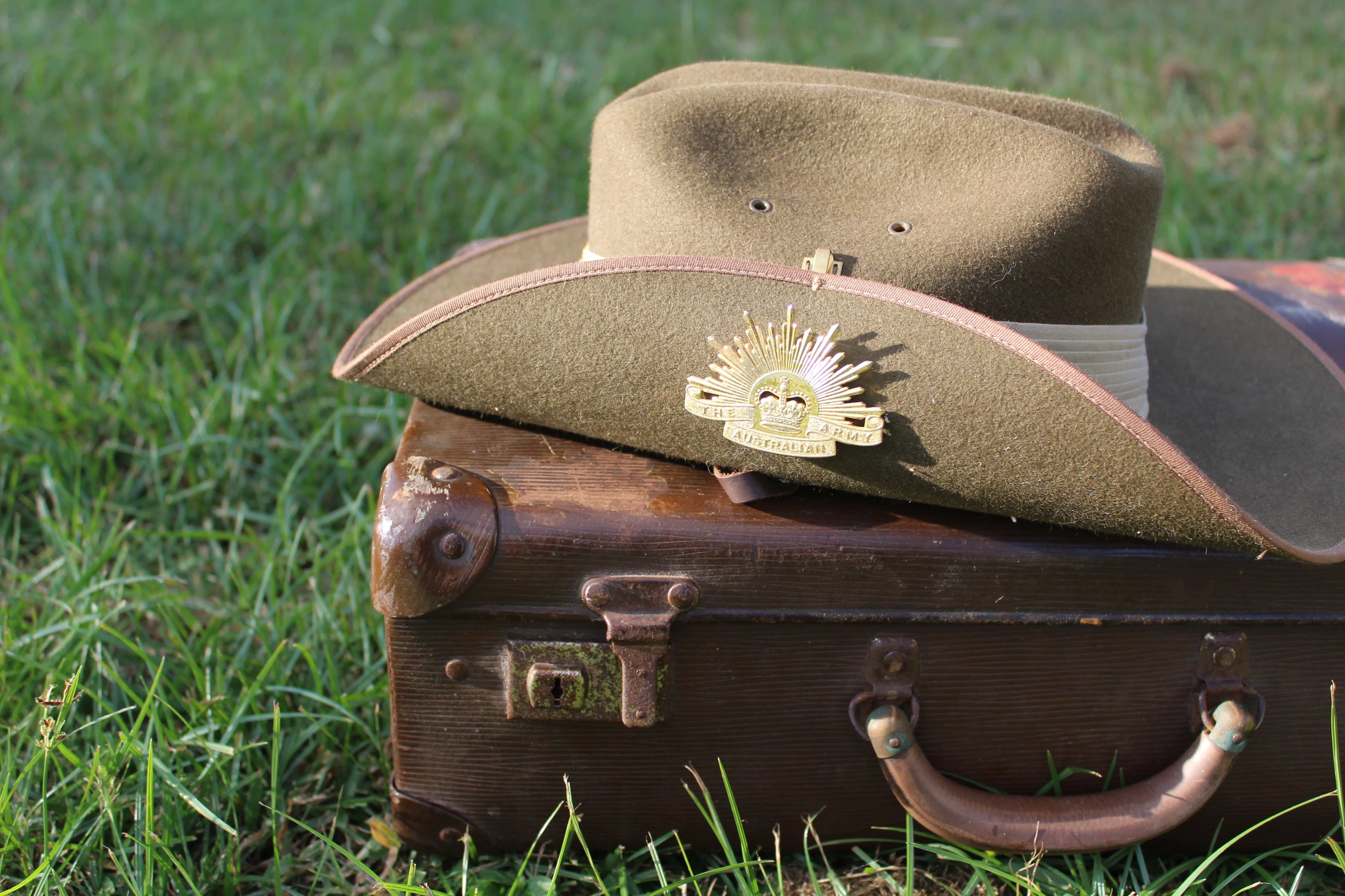 army, first world war, soldier, top, brown, ww1, serve, close-up, memorial, plant, wood - material, focus on foreground, field, green color, deploy, world war one, HD Wallpaper